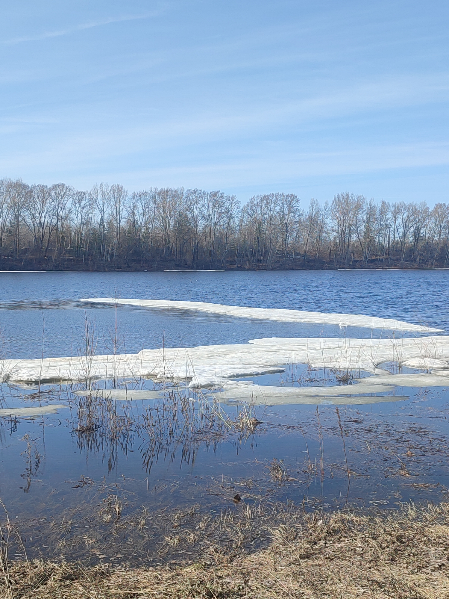 Spring flooding documented with melting ice, submerged vegetation observed
