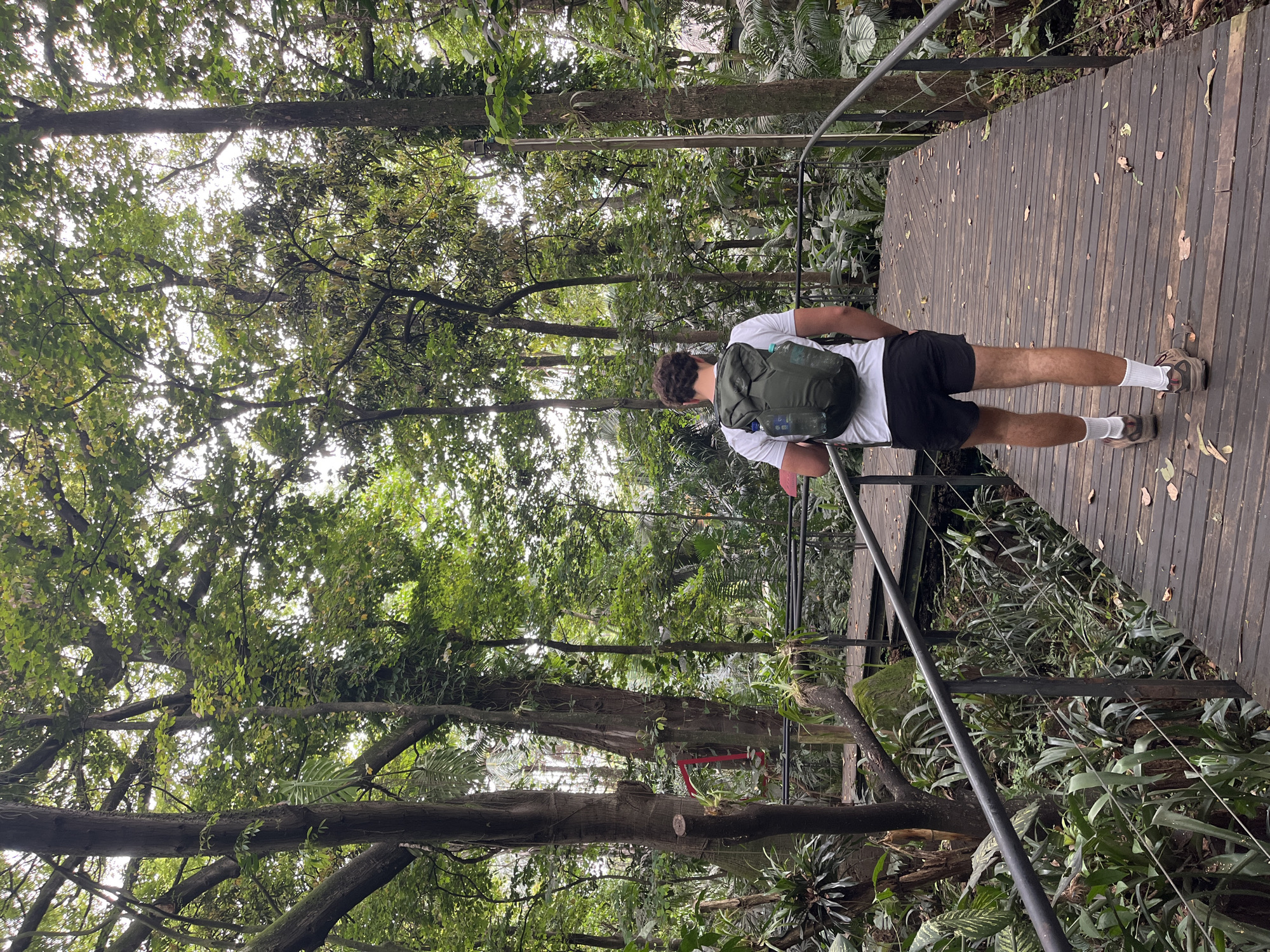 Hiker photographed on wooden trail in Medellín vegetation