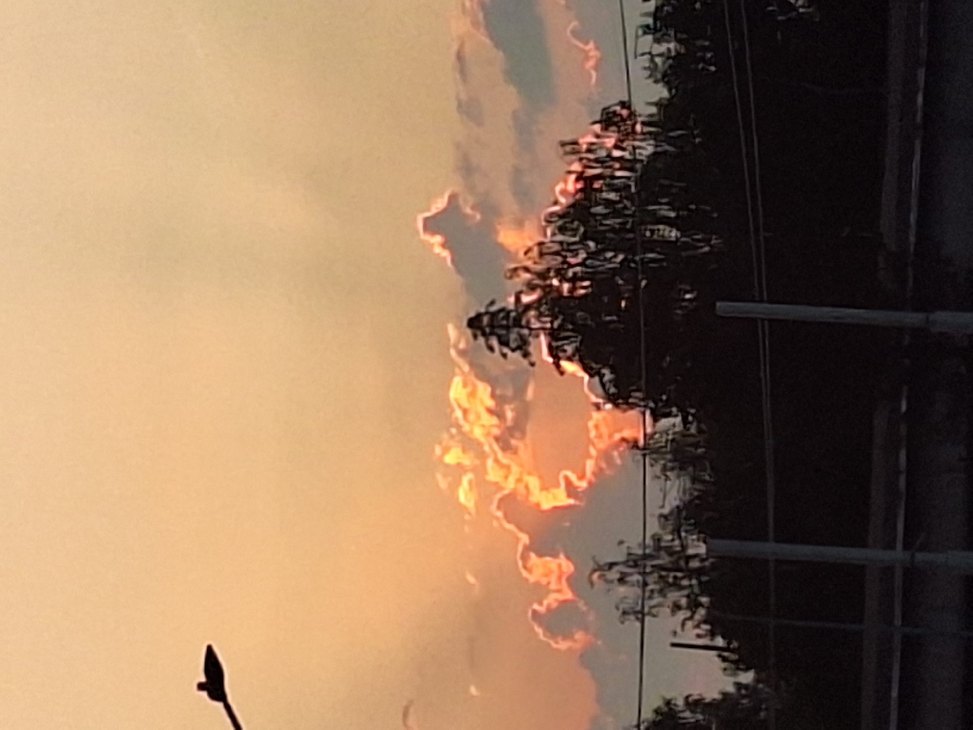 Street lamp and trees silhouetted against orange sky in Perm