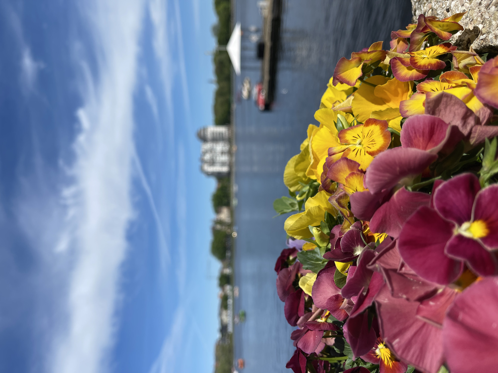 Witness captures scenic waterfront moments in Kaliningrad, Russia