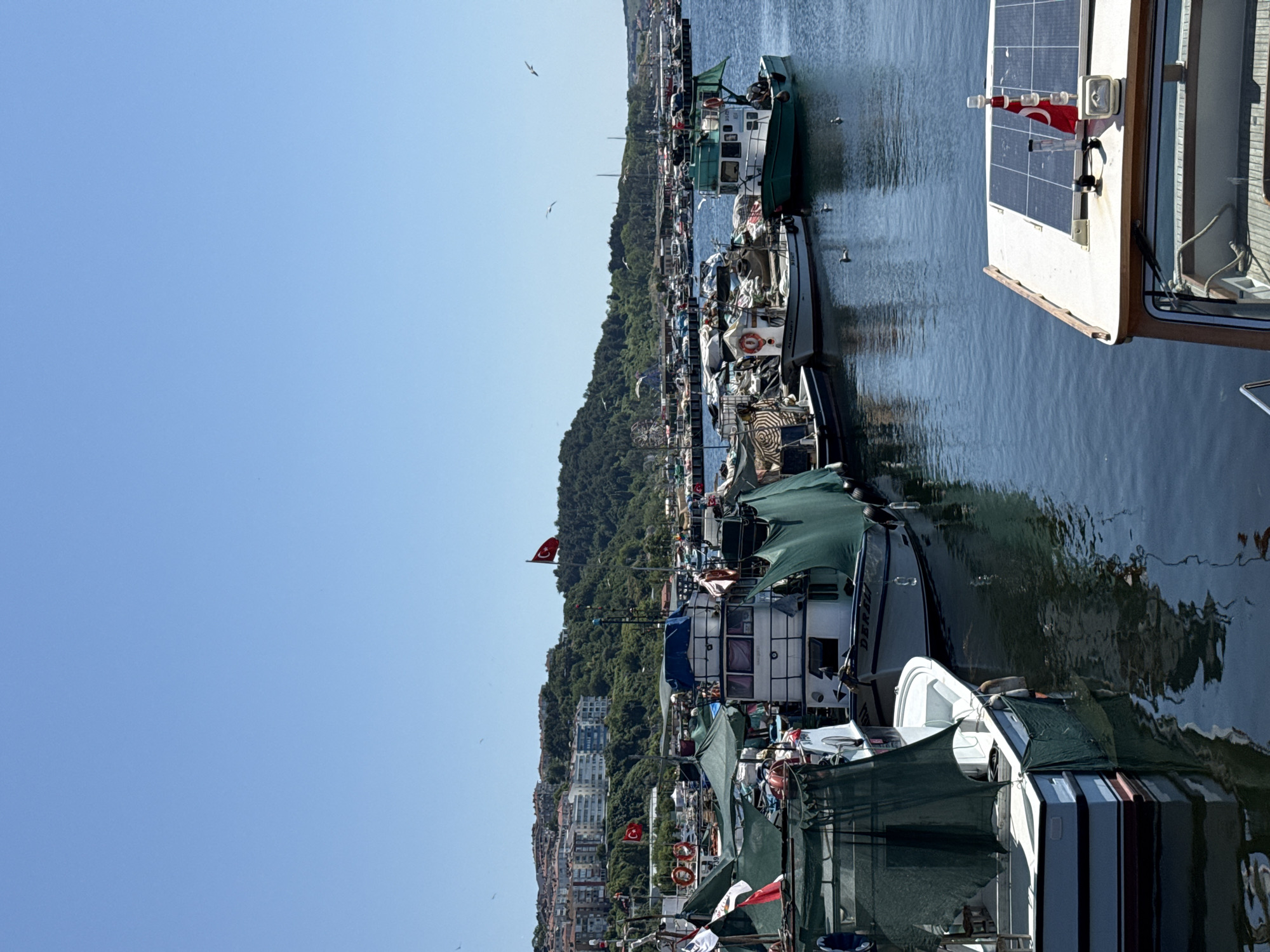 Şile harbor: boats, calm water, and local signage
