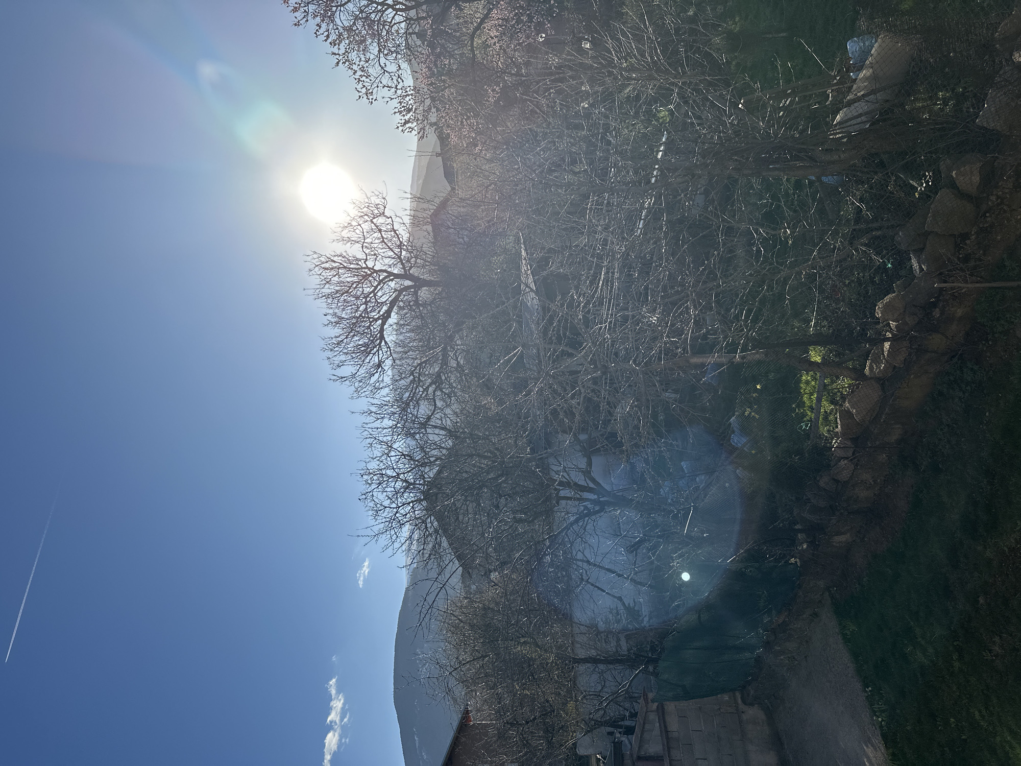 Clear sunny skies observed in Bistritsa, Bulgaria