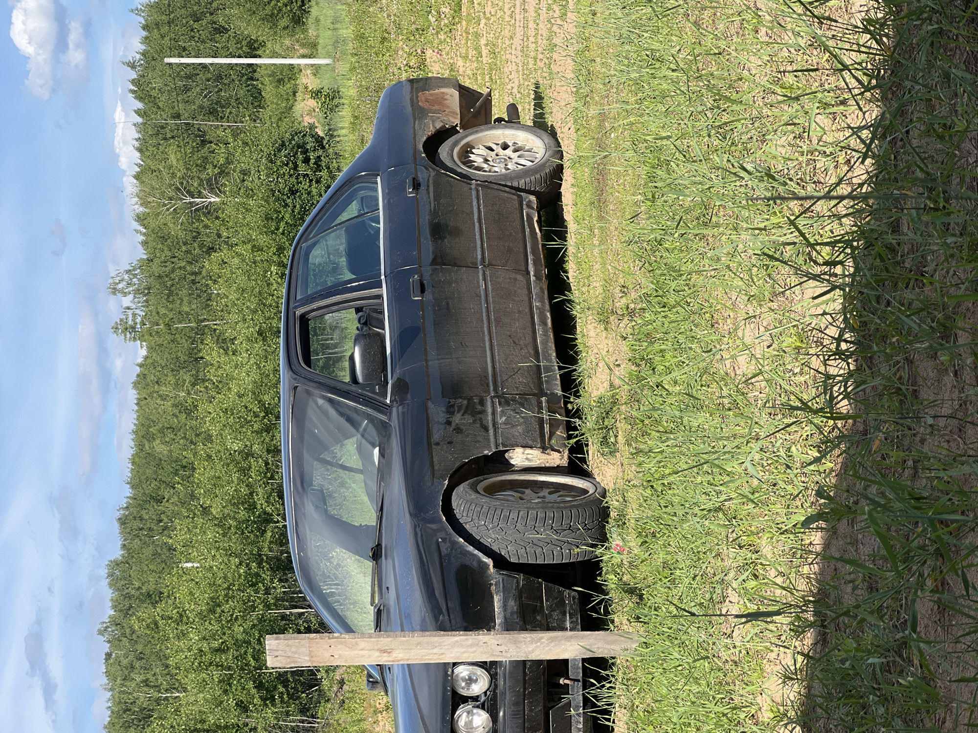Daily construction and gardening work documented in Noviy, Russia