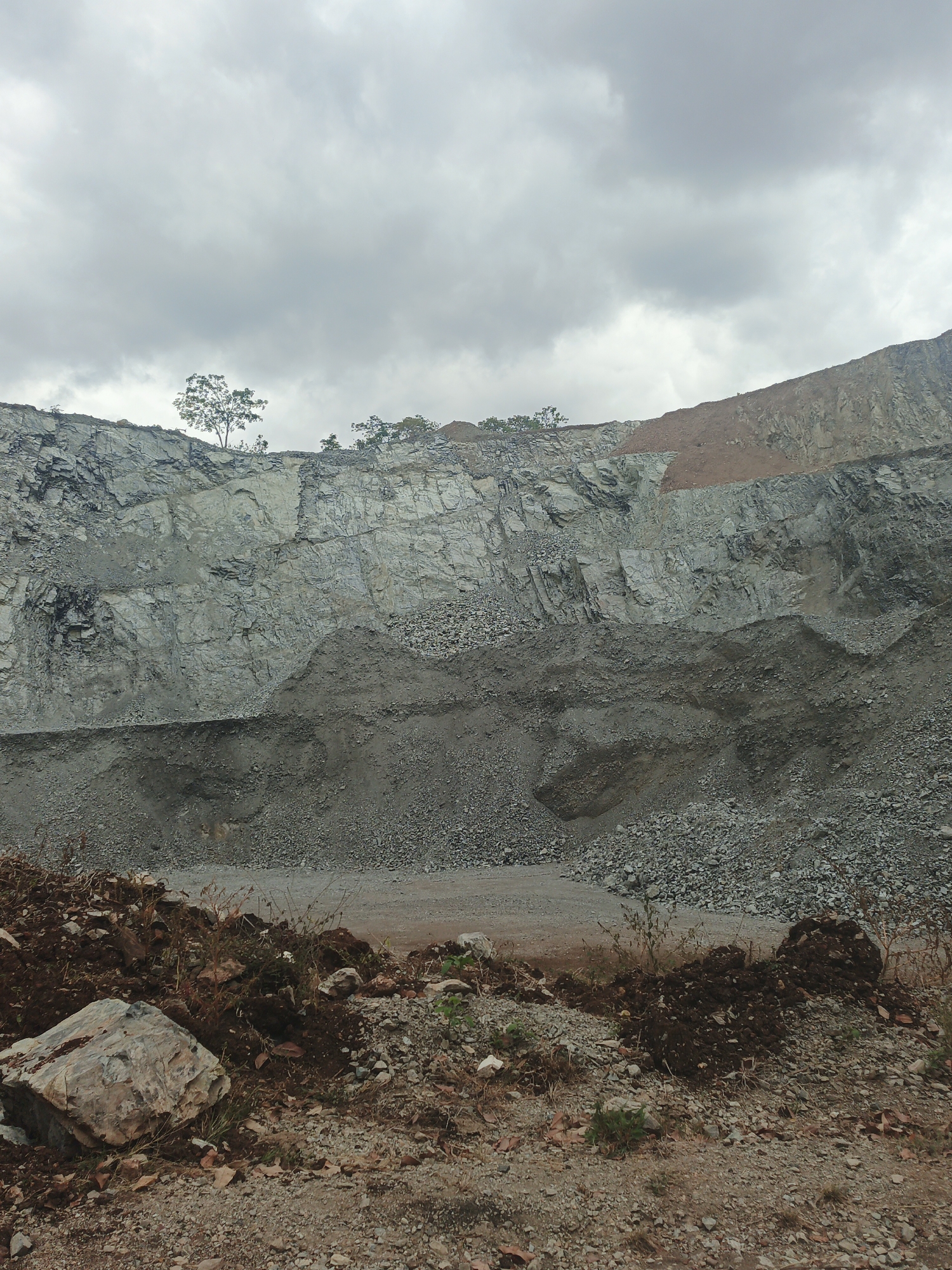 Terraced quarry with vegetation documented in Tinaquillo, Venezuela