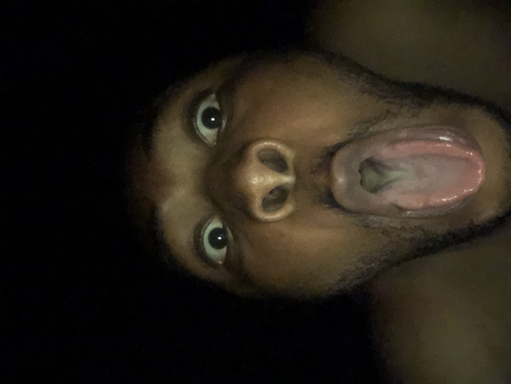 Person documents selfies and app interfaces in unknown location