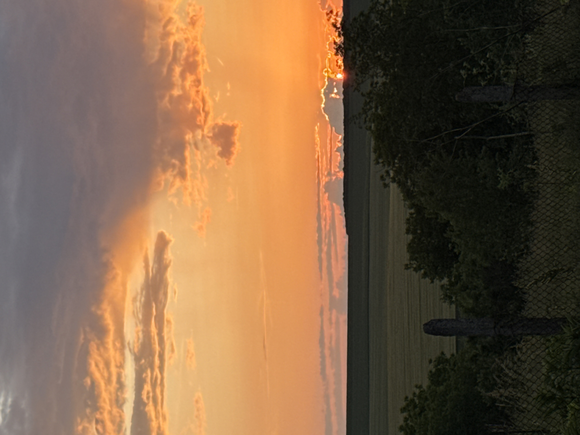 Sunset and dog portrait captured in rural Zornitsa, Bulgaria