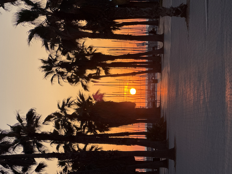 Afternoon coastal scenes and urban life captured across Tel Aviv