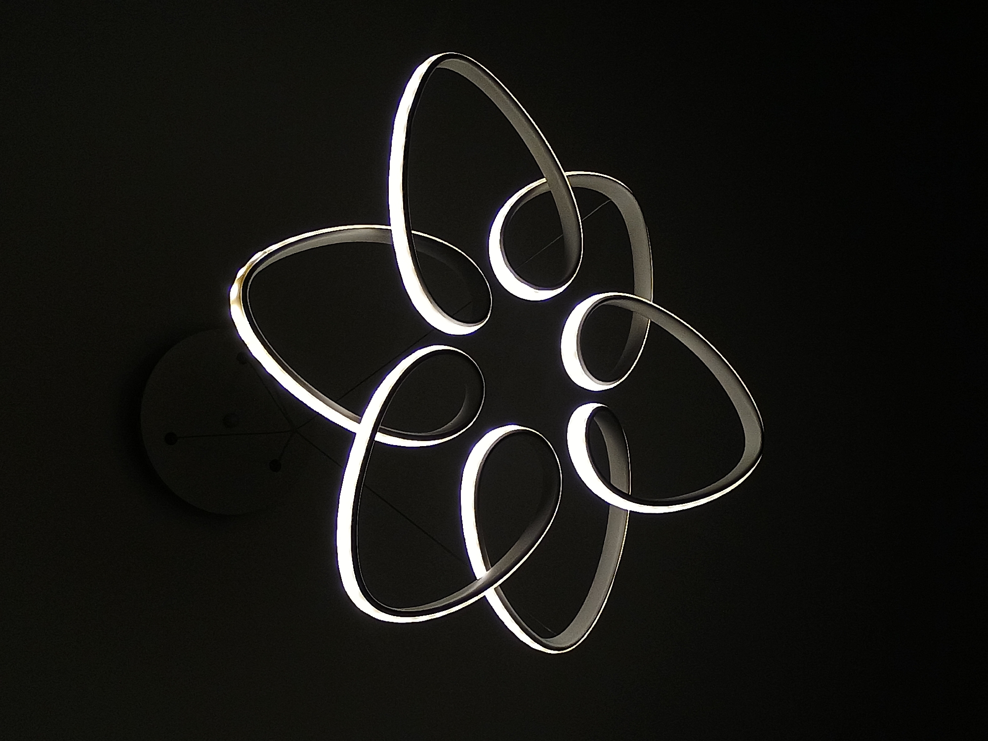 Modern chandelier with floral design documented in Plovdiv, Bulgaria