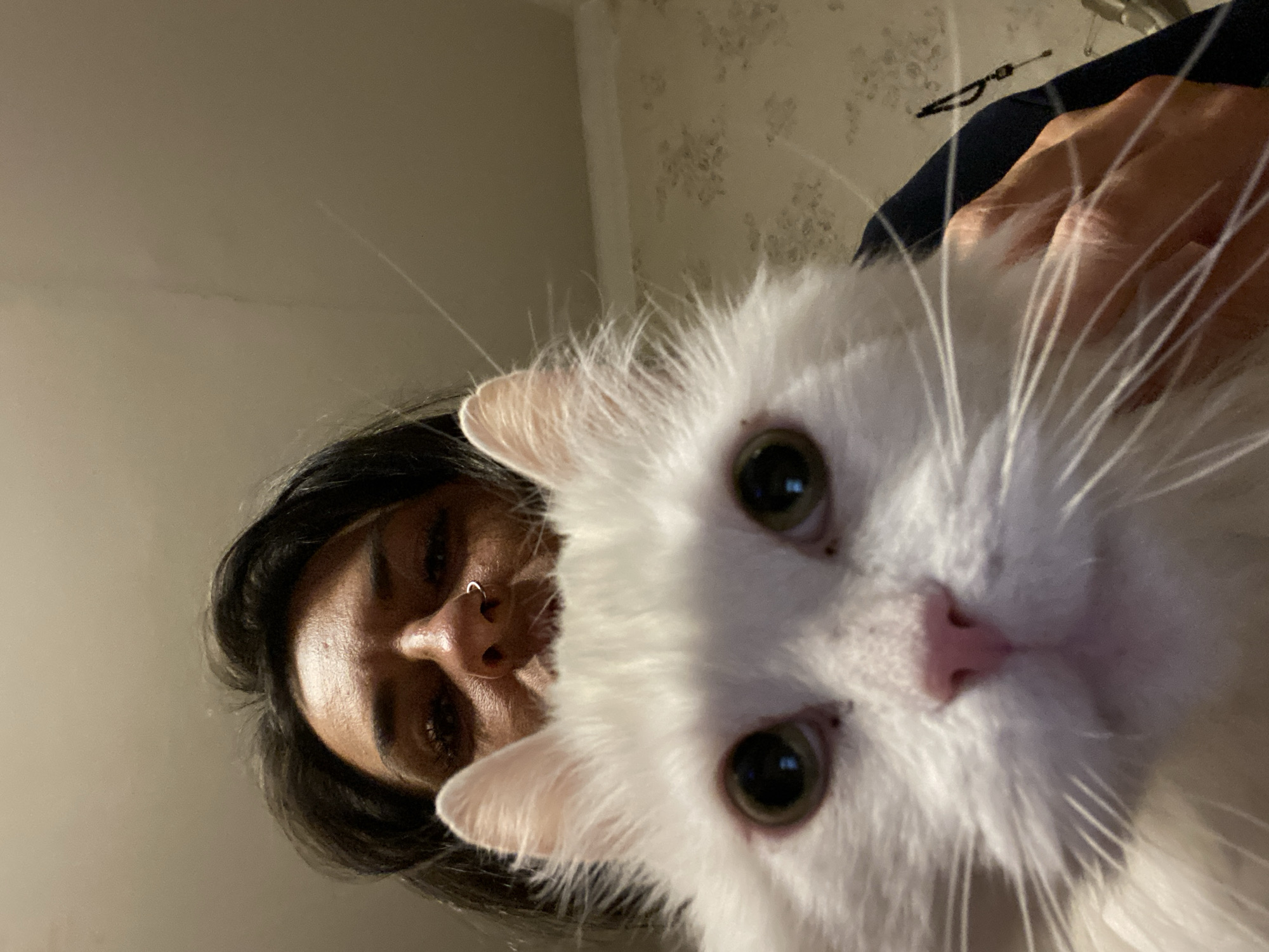 Person with white cat photographed in Khimki, Russia