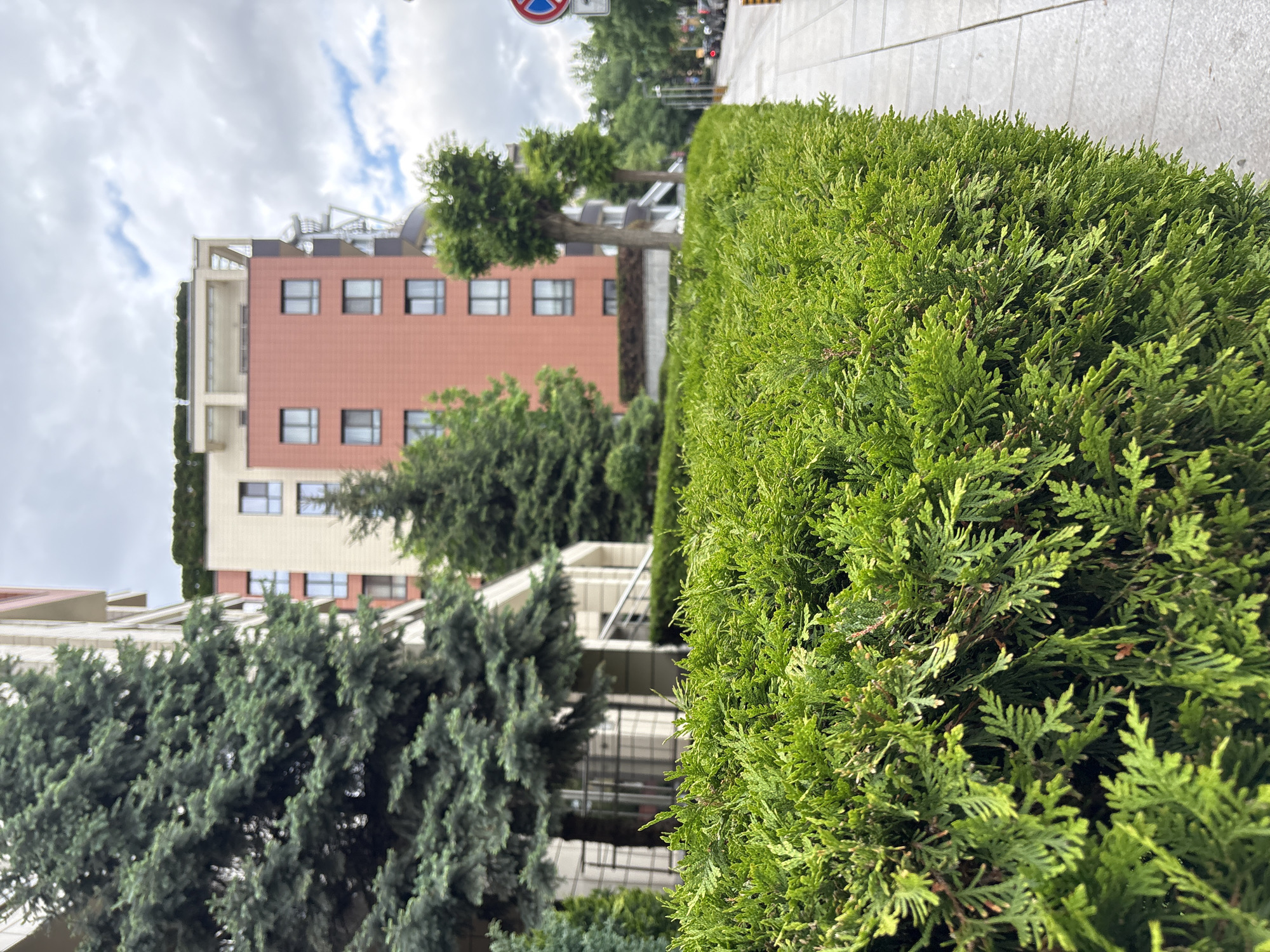 Urban streetscape documented in Sofia, Bulgaria