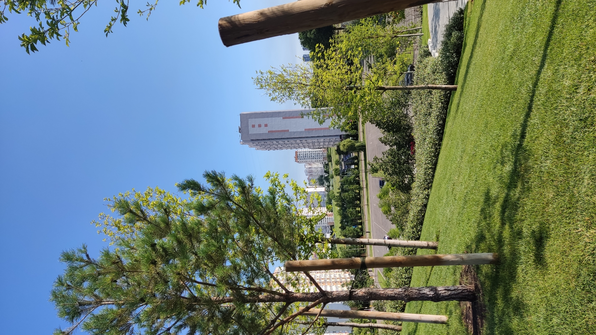 Summer morning activity in a Krasnodar residential park