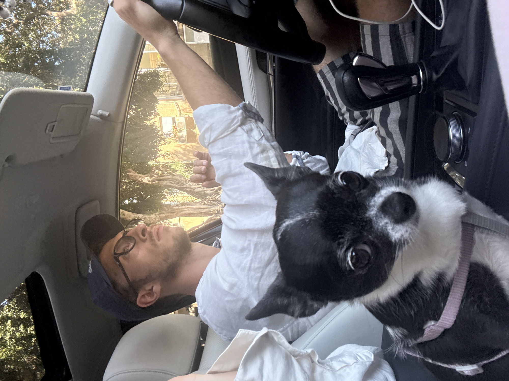 Group with dog spotted in cars around Tel Aviv