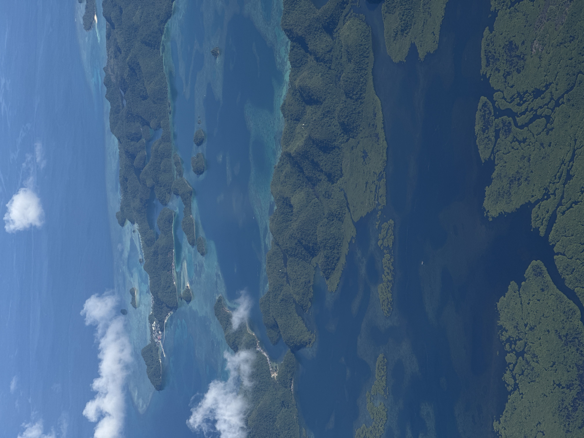 Aerial view captures mangrove islands near Del Carmen, Philippines