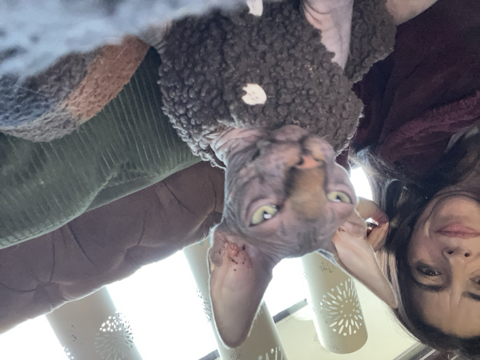 Woman documents morning routine with pets in Konz home