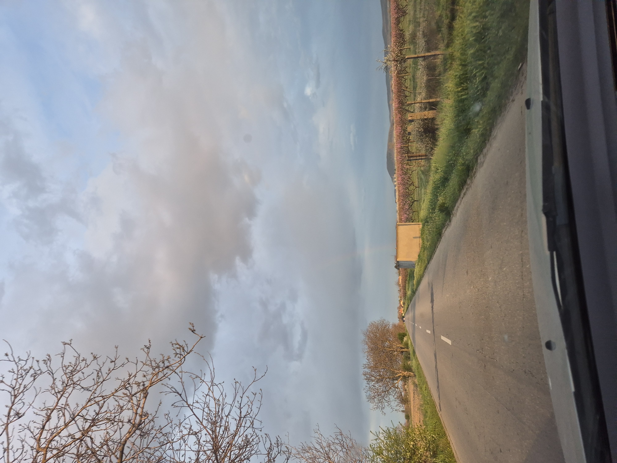 Spring blossoms line rural road in Mechkarevo, Bulgaria