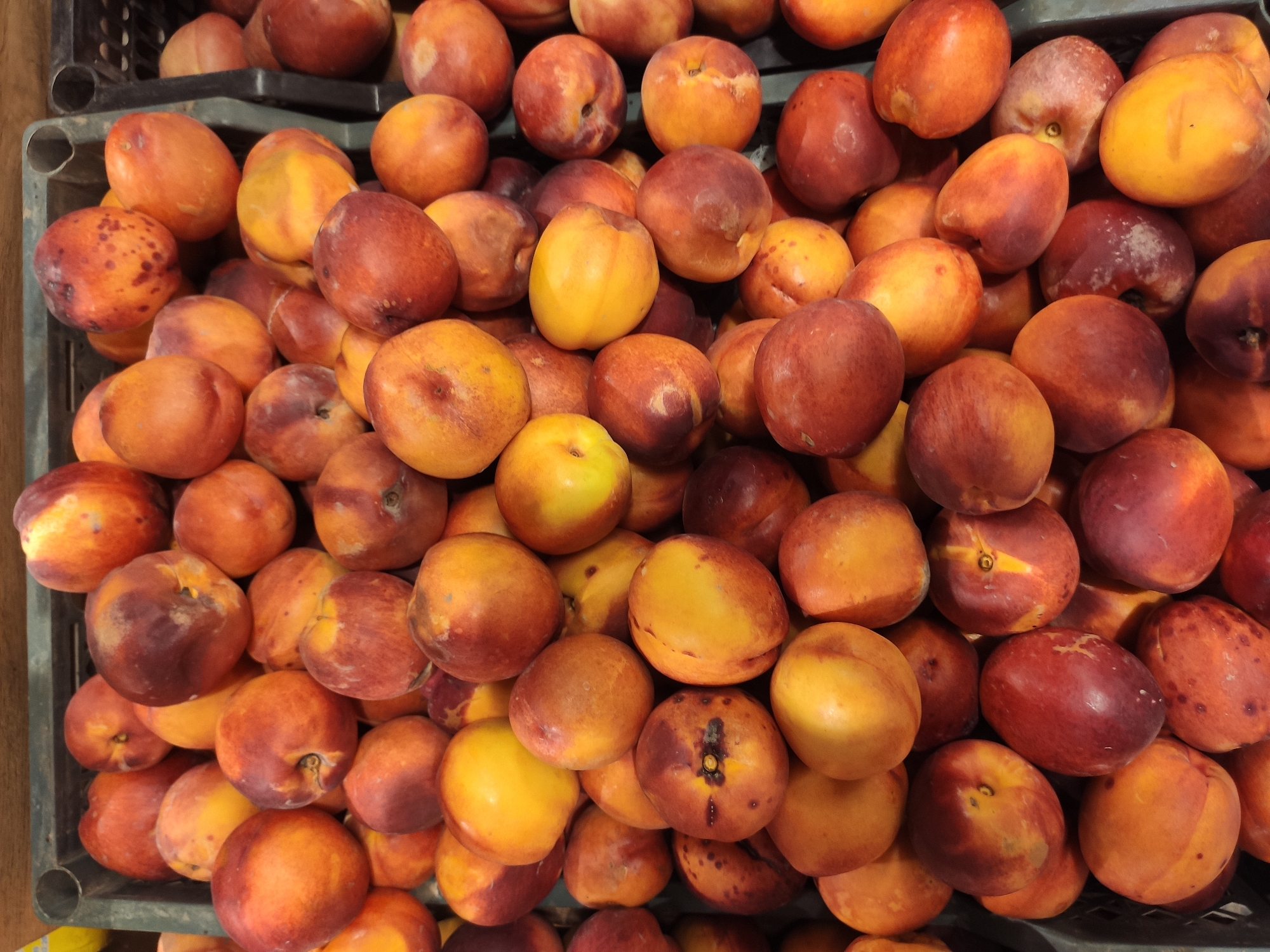 Fresh fruit, soda shelves, and produce browsing at a Tashkent market