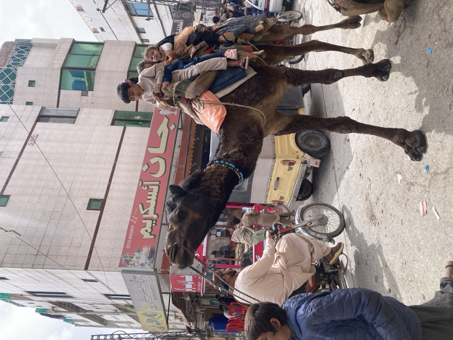 Sunday street life: camels, Ferris wheel enliven Quetta