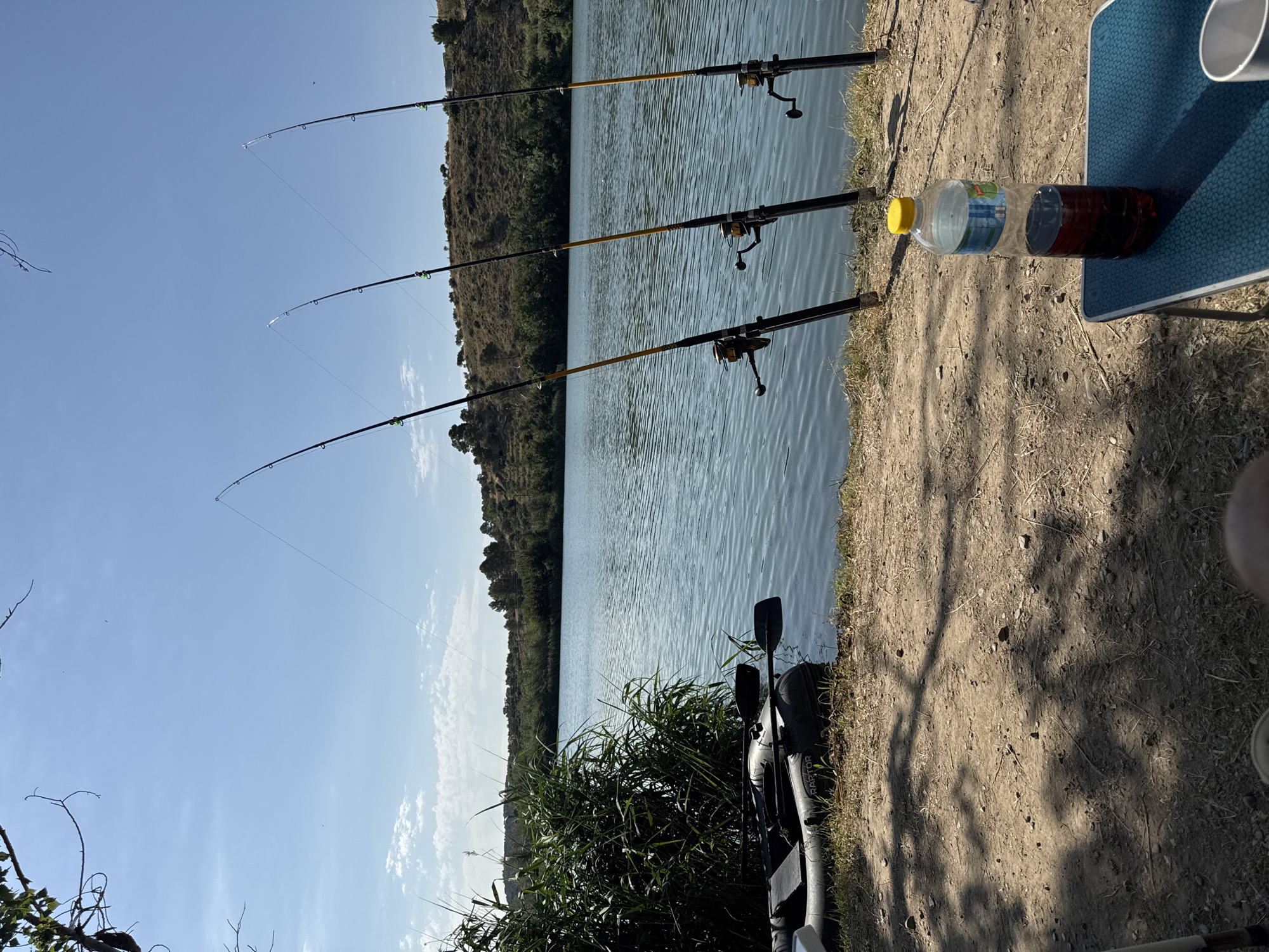 Morning fishing session documented at waterfront location