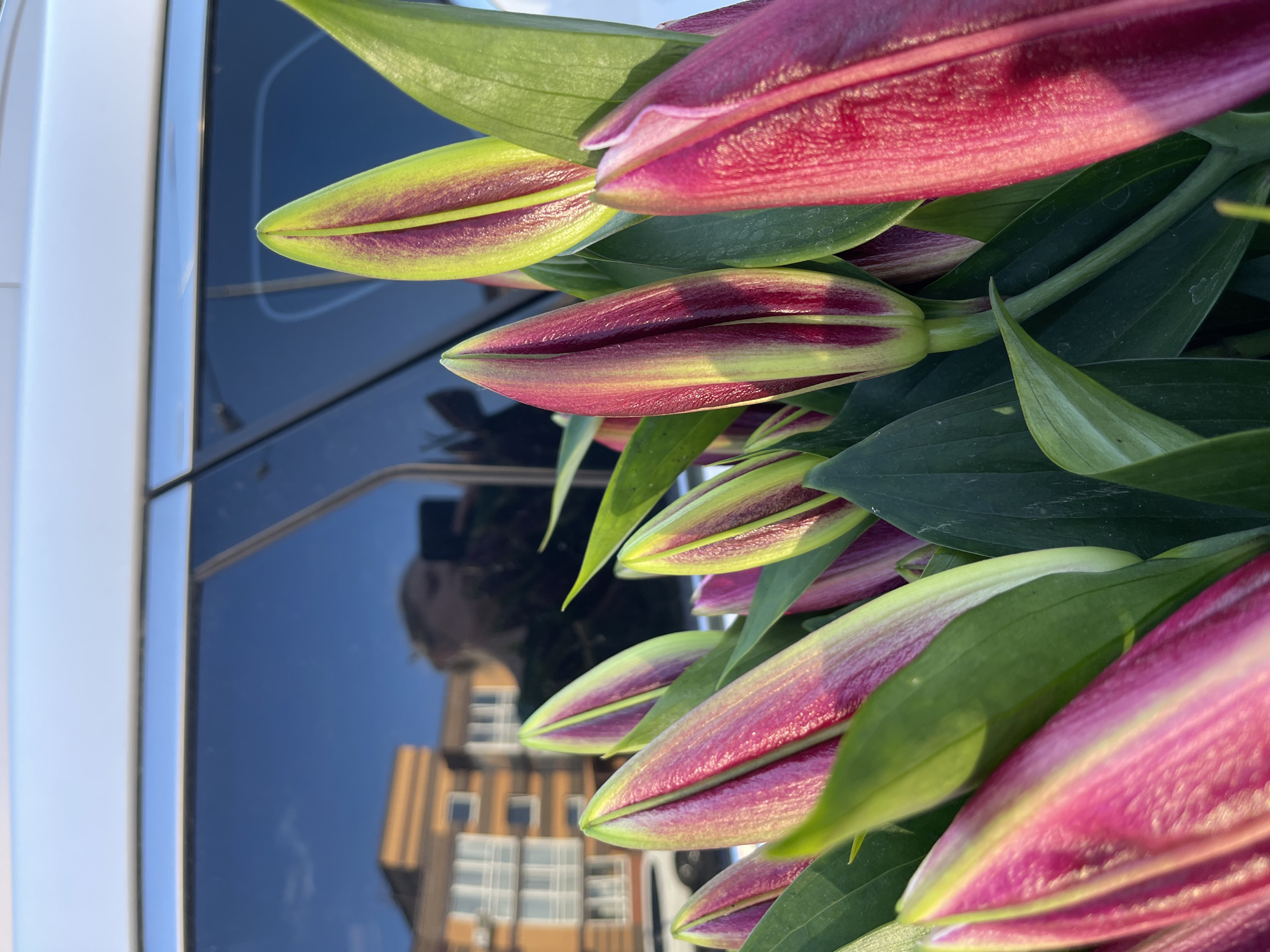Lily bouquet documented in Kommunarka residential area