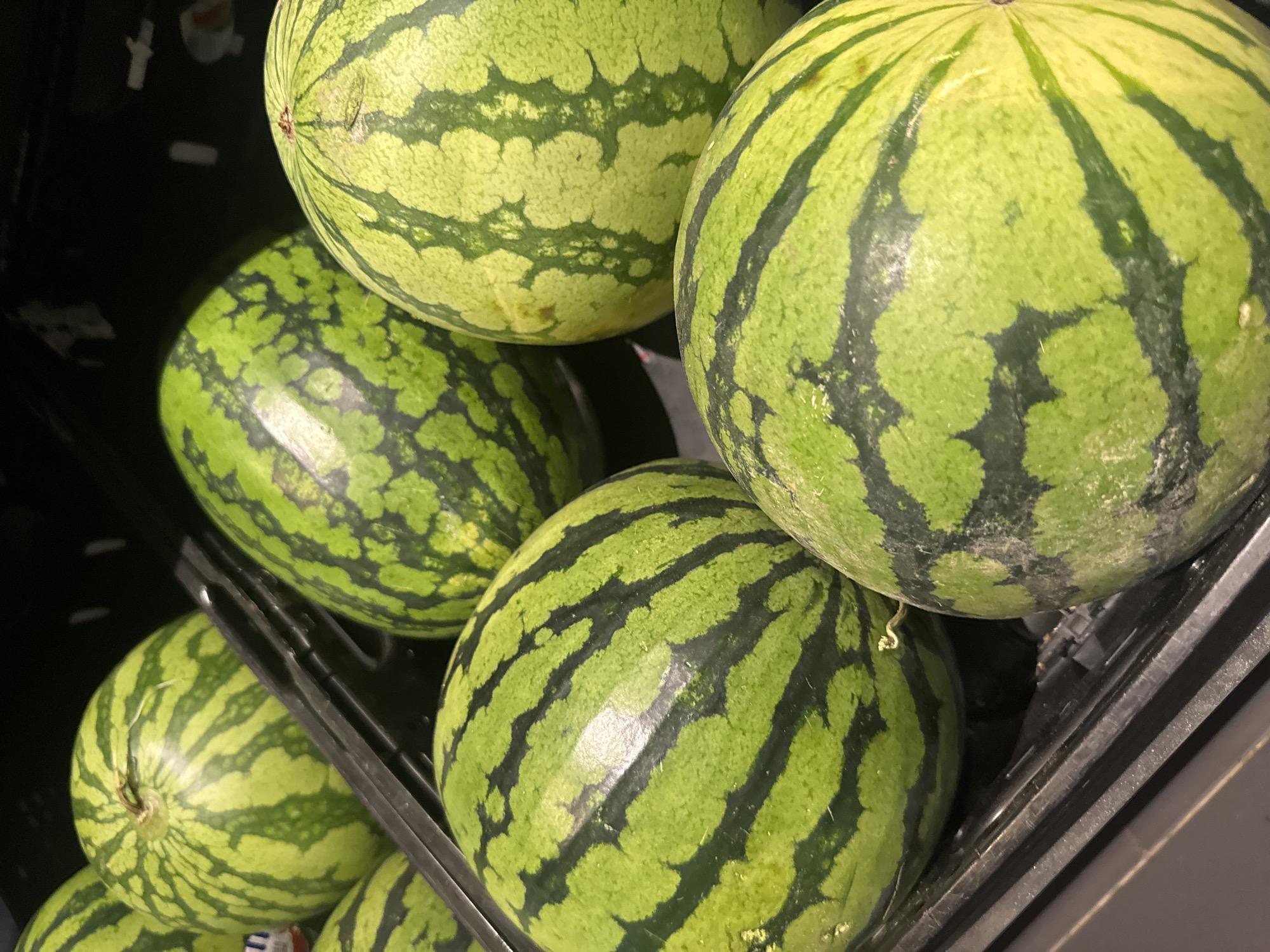 Supermarket and garden center shopping trip with produce and flowers