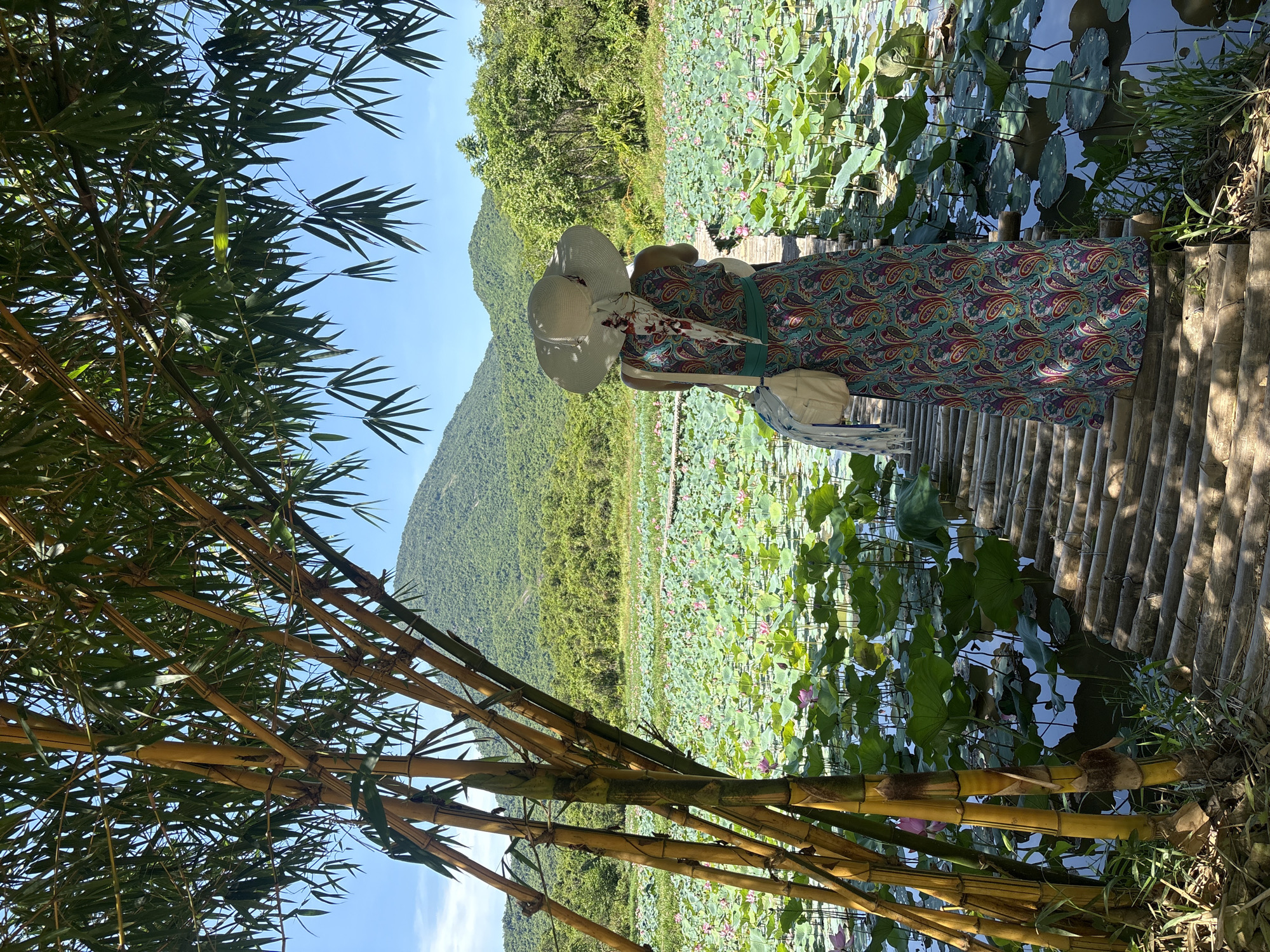 Lotus pond and mountain views at a Đà Nẵng garden