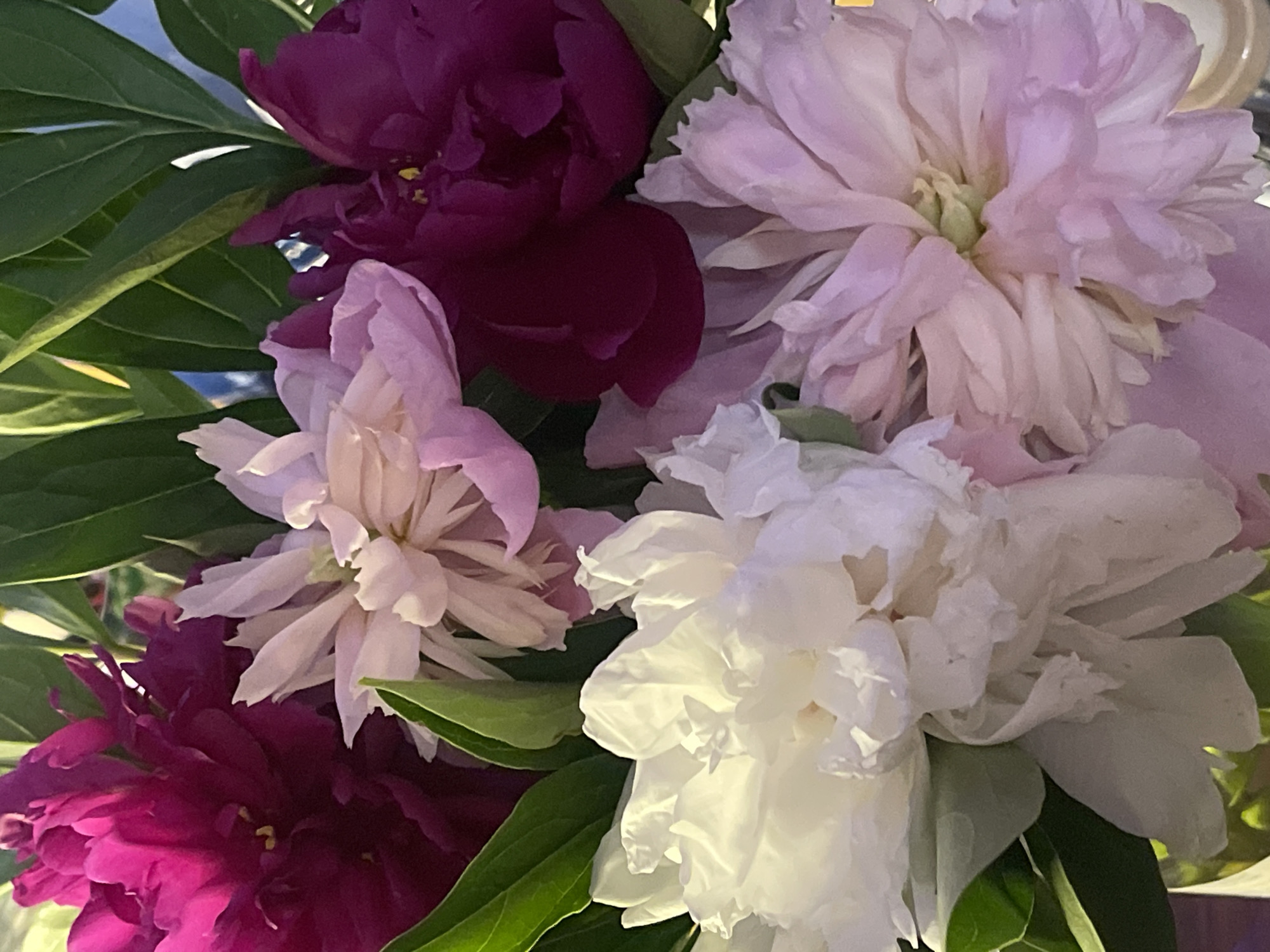 Peony bouquets and interior details from a Minsk evening