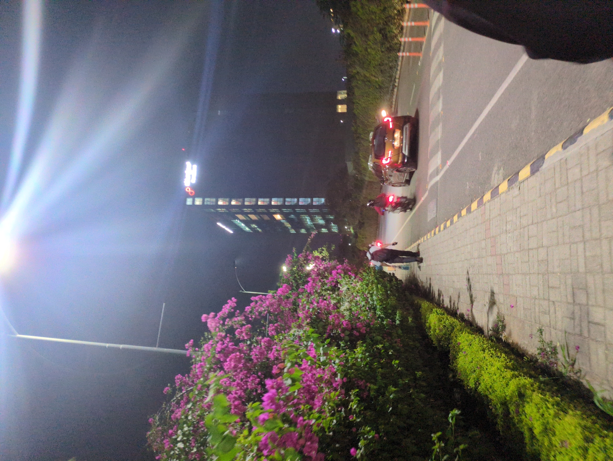 Evening street life documented in Bengaluru neighborhood