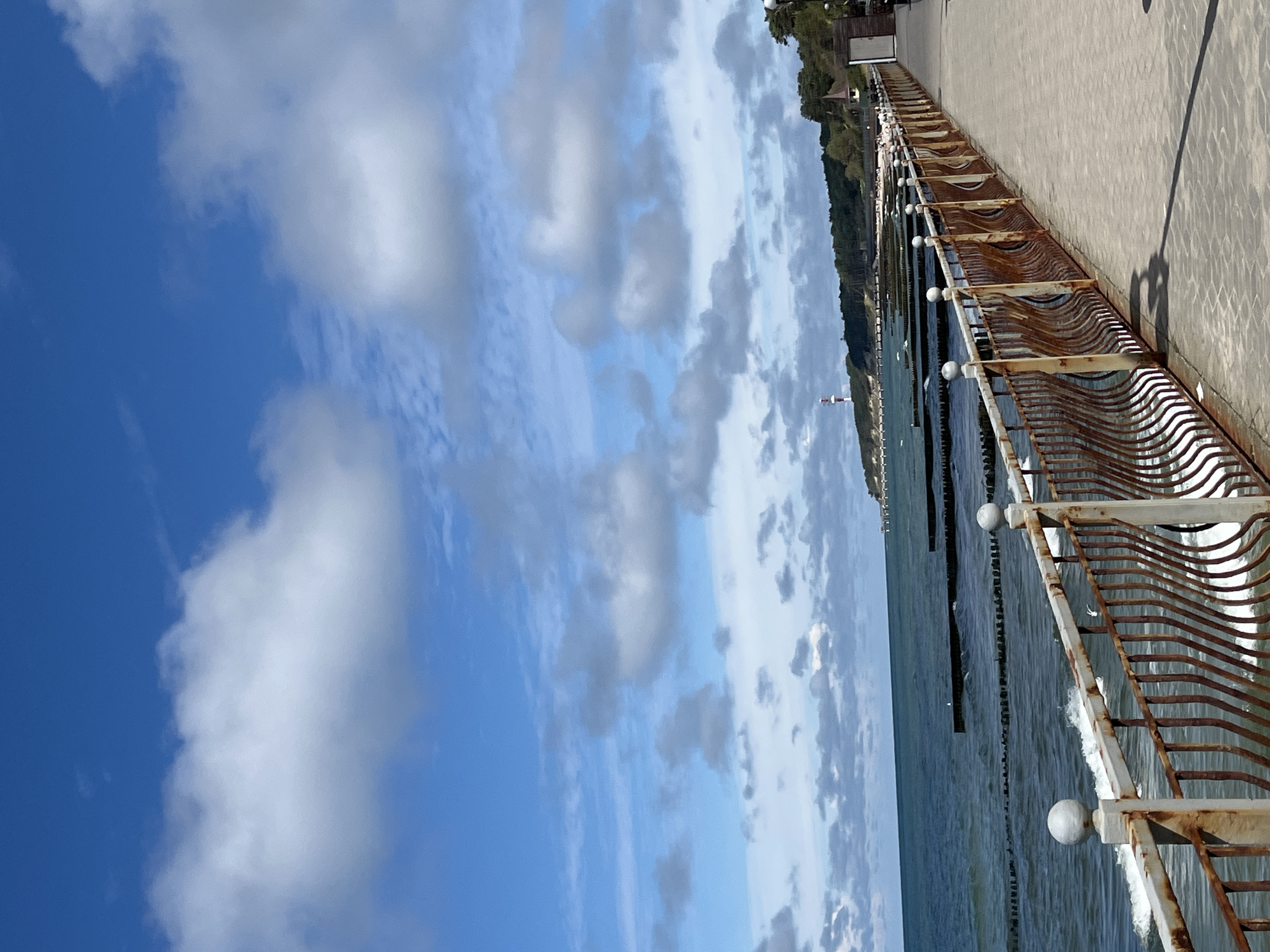 Pionersky coastline: promenade, beach, and pine forest paths