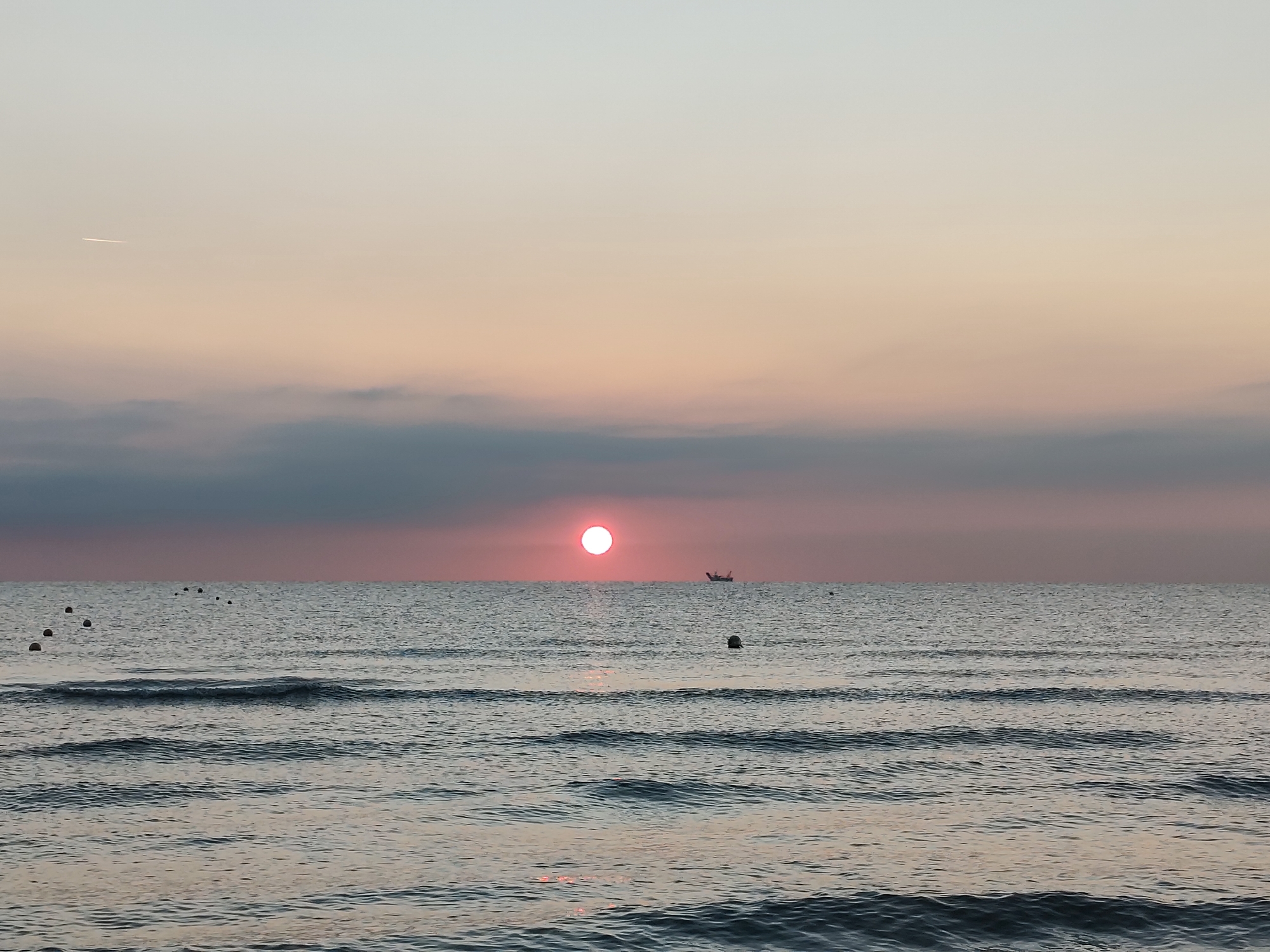 Sunrise shell-collecting on the Adriatic shore in Rimini