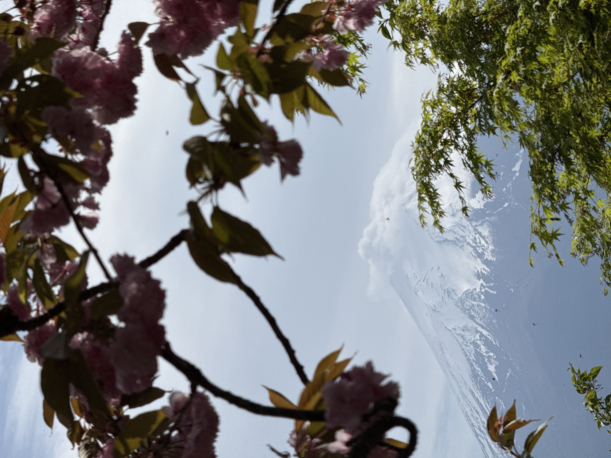 Early morning scenes documented around Mount Fuji in Fujiyoshida