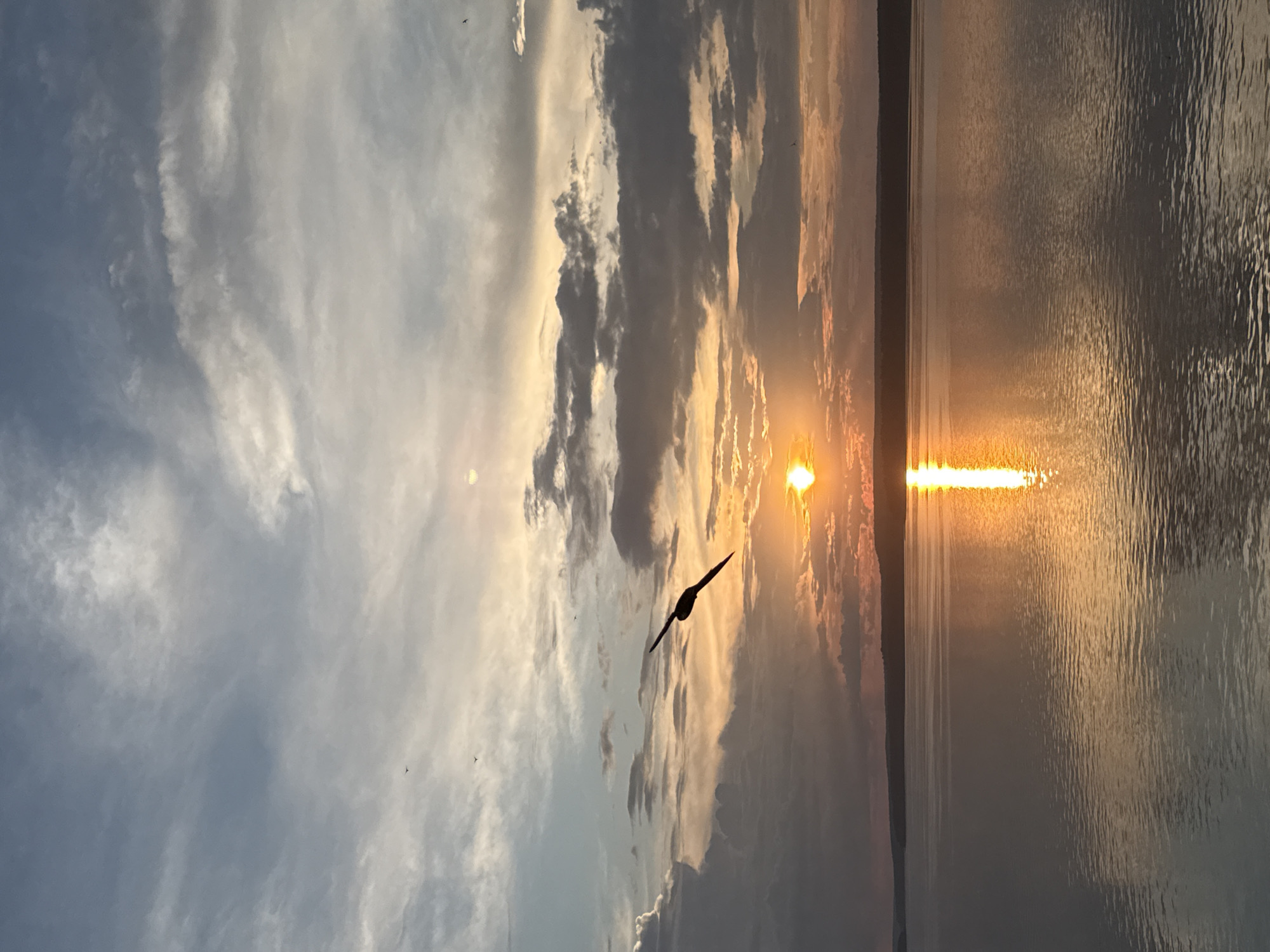 Sunset photography session at Votkinsk Reservoir, Russia