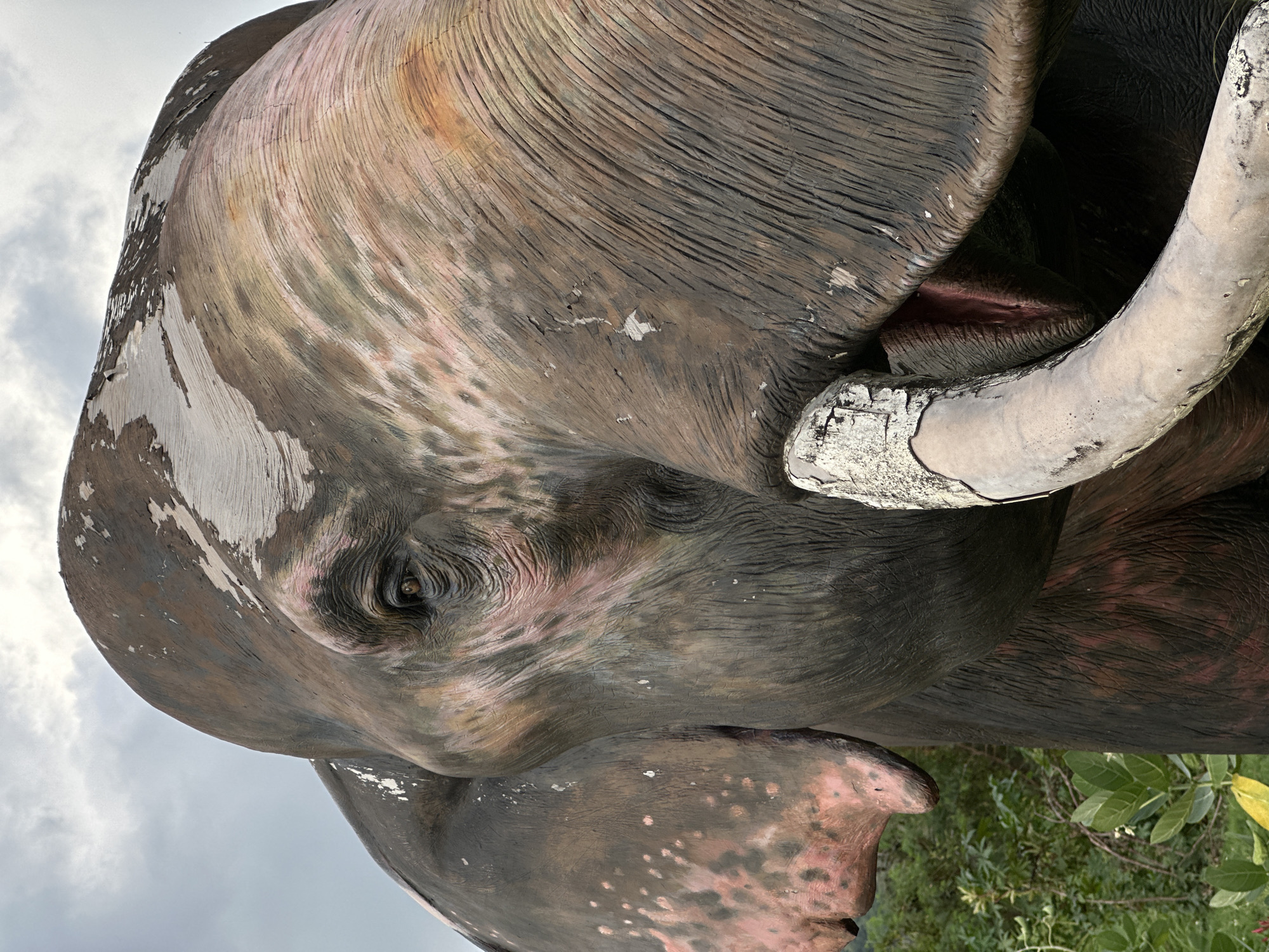 Rural life and elephant statues documented in Chalong, Thailand