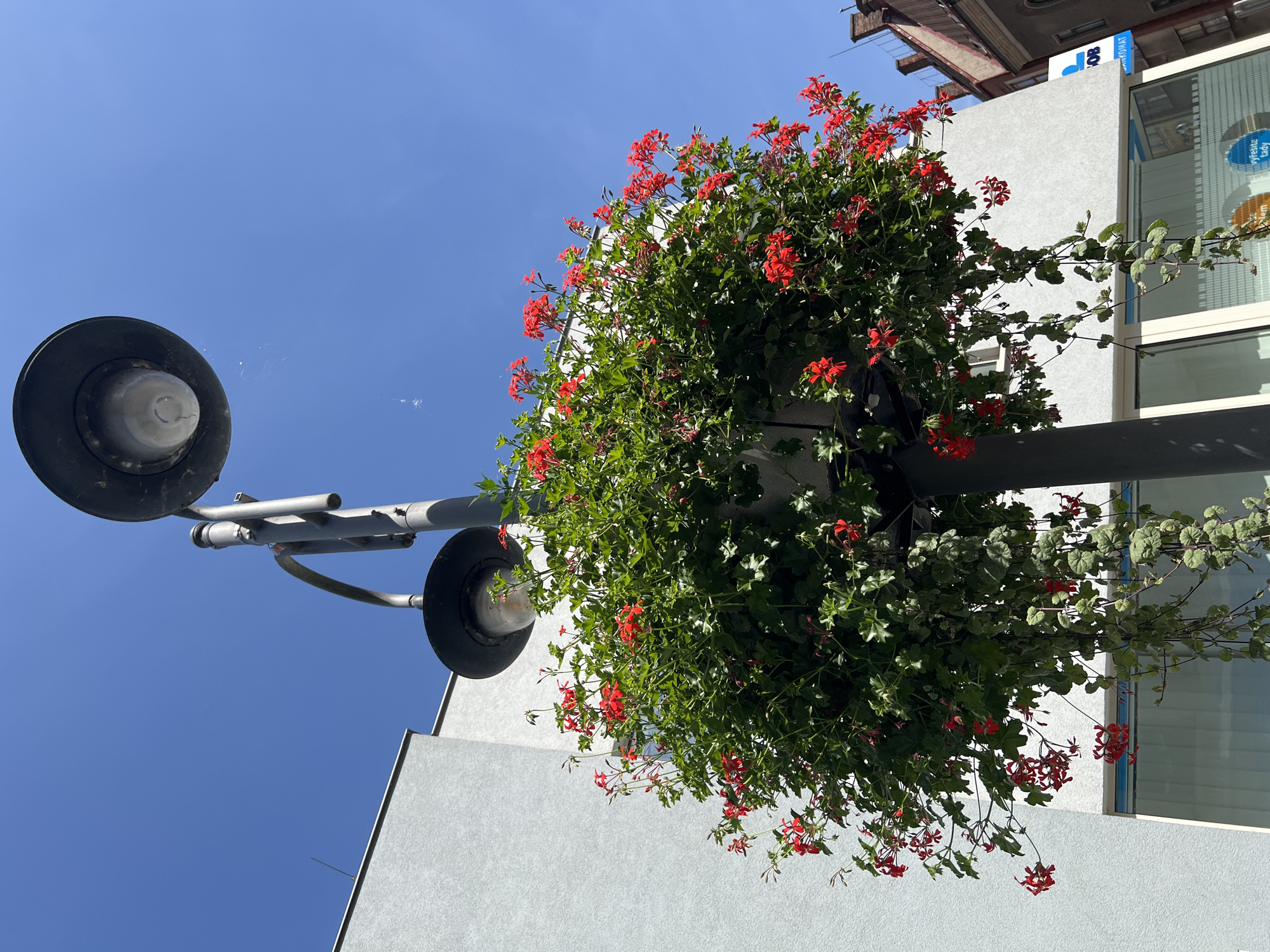 Sunny afternoon stroll through Náchod's old town streets