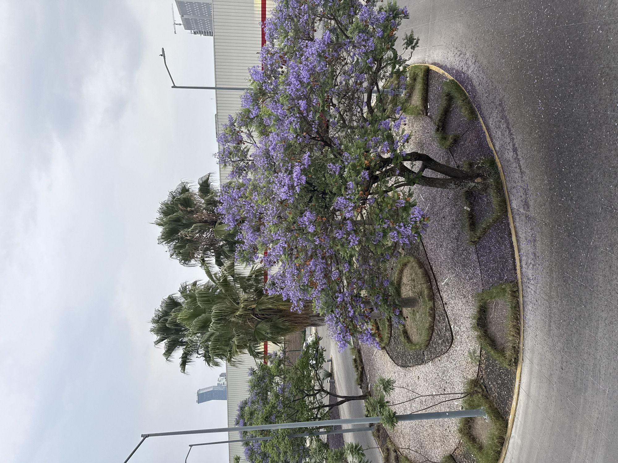 Late-night documentation of Puebla's urban landscape and amusement park
