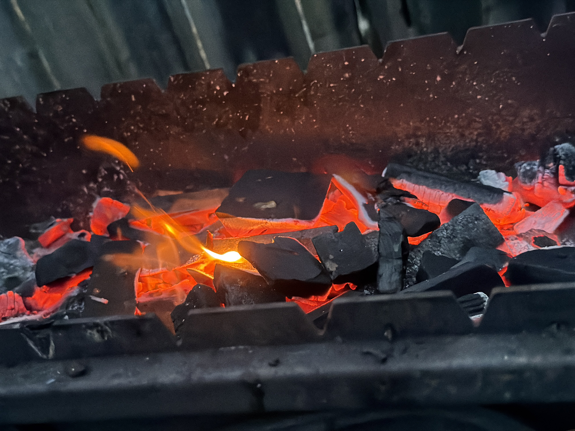 Beekeeper tends hives, prepares charcoal grill in rural Russia