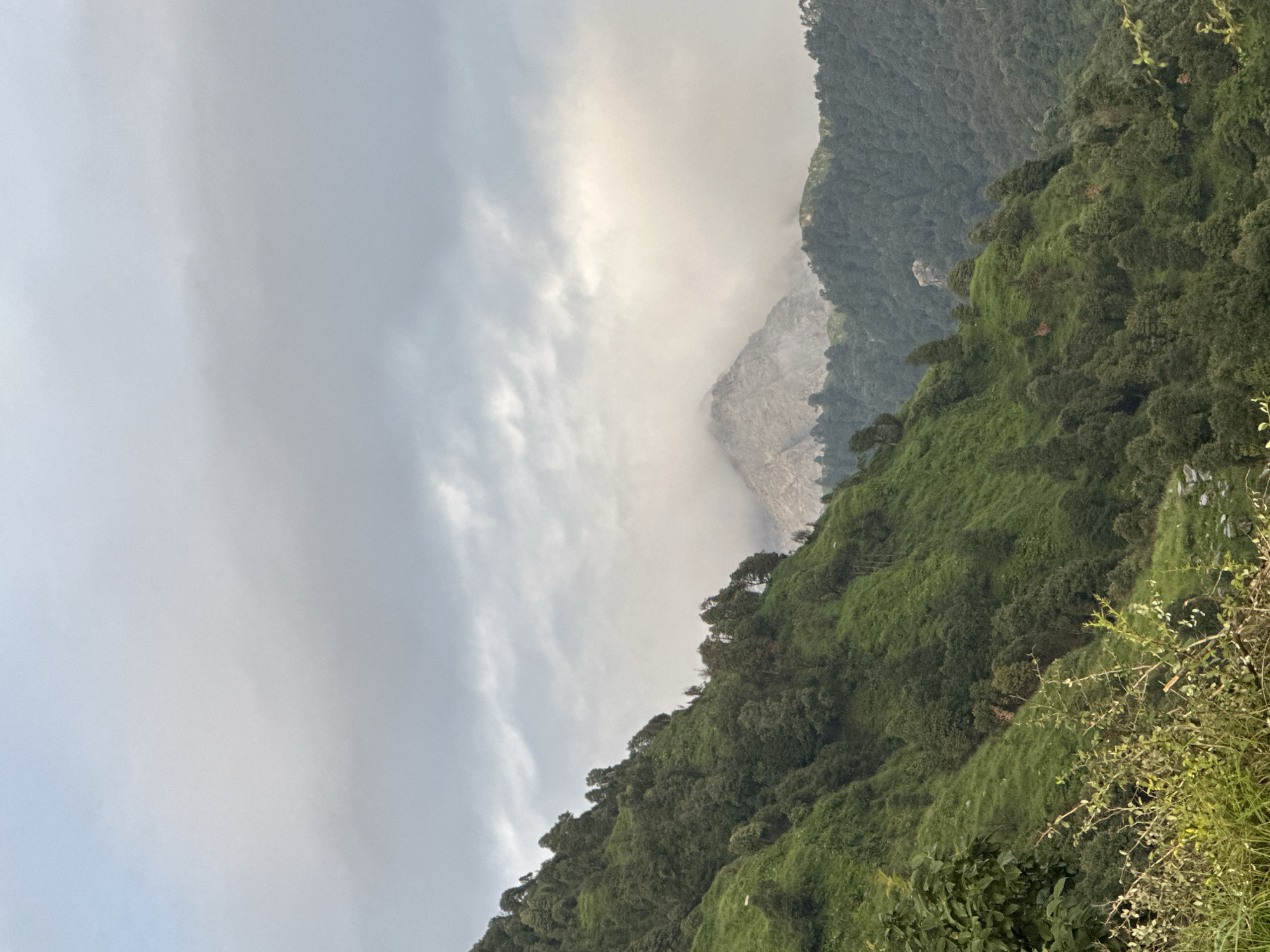 Hilltop views and local stops in the Himachal hills