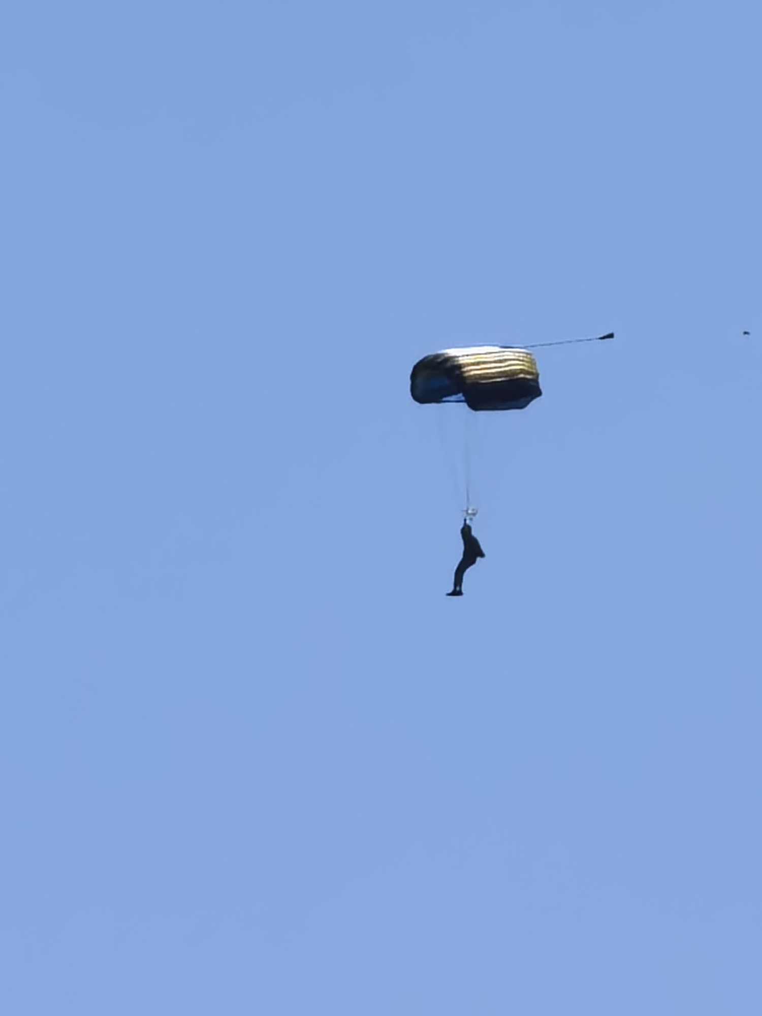Morning parachuting and bee activity observed in Bulgarian town