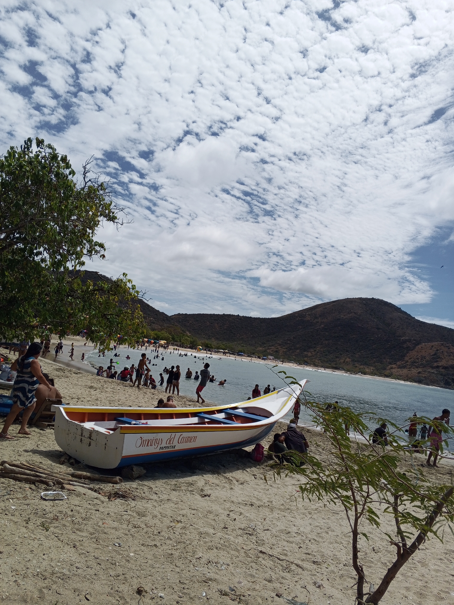 Beachgoers enjoy sunny afternoon at palm-lined coastal location