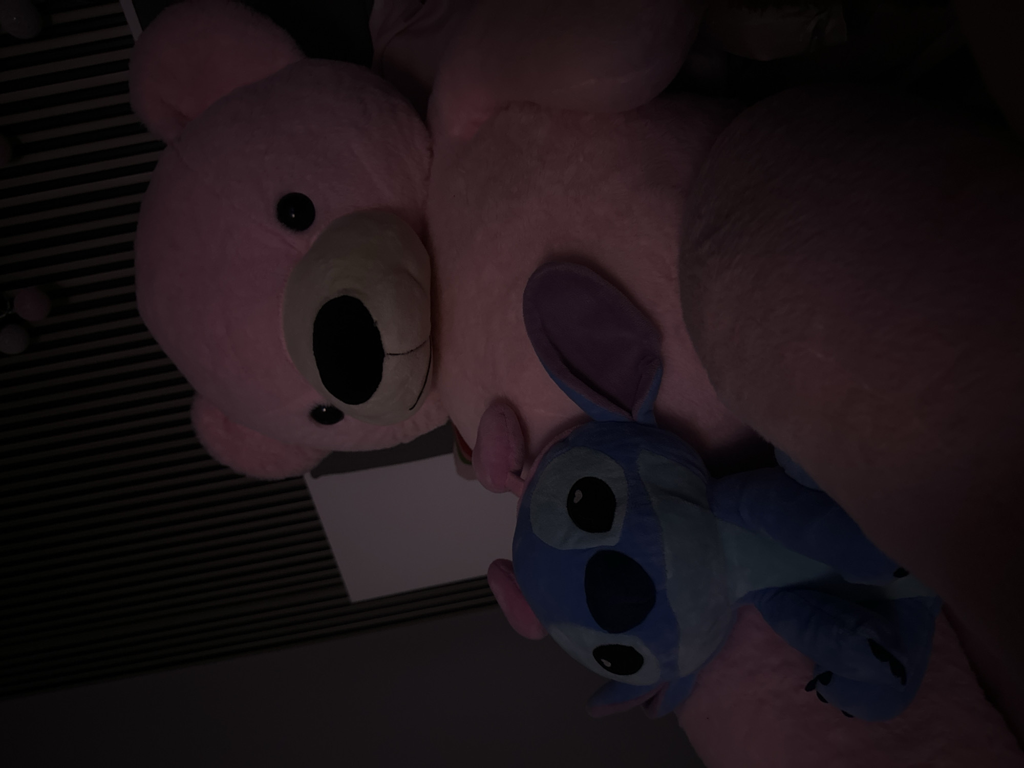 Plush toy collection documented in Sofia bedroom setting