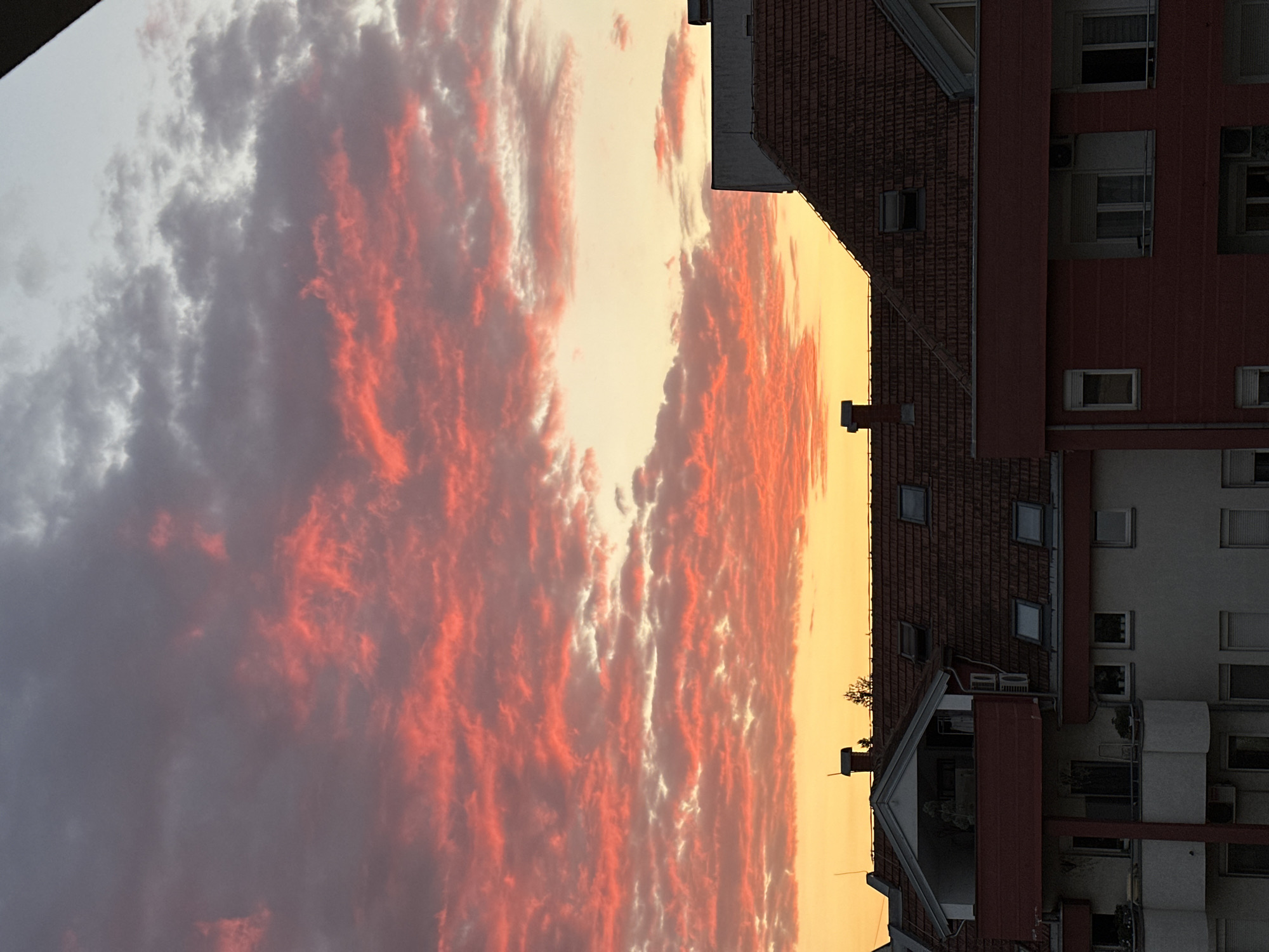 Pink and orange sunset clouds over Novi Sad rooftops