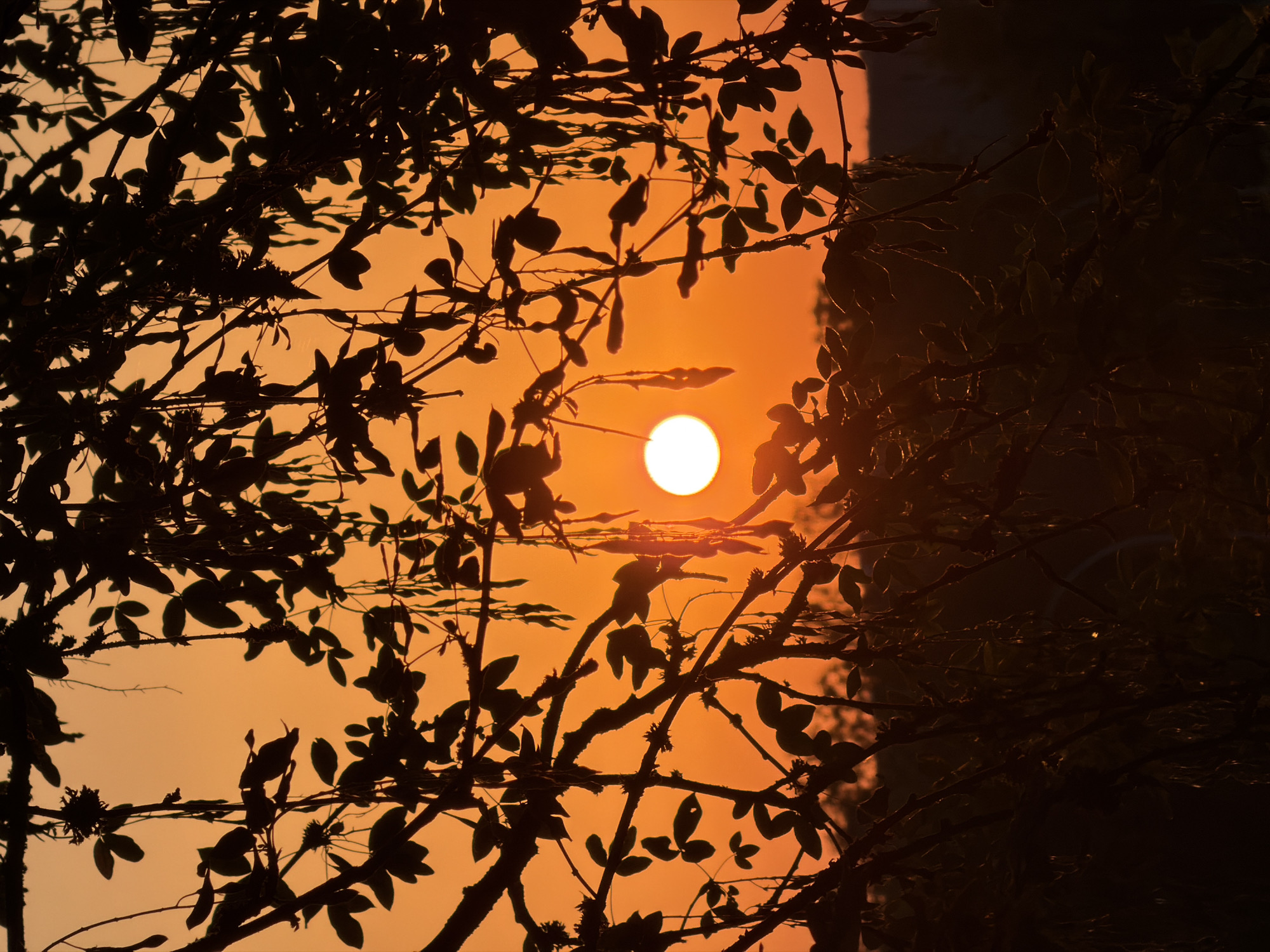 Sunset to moonrise over Leudelange, Luxembourg