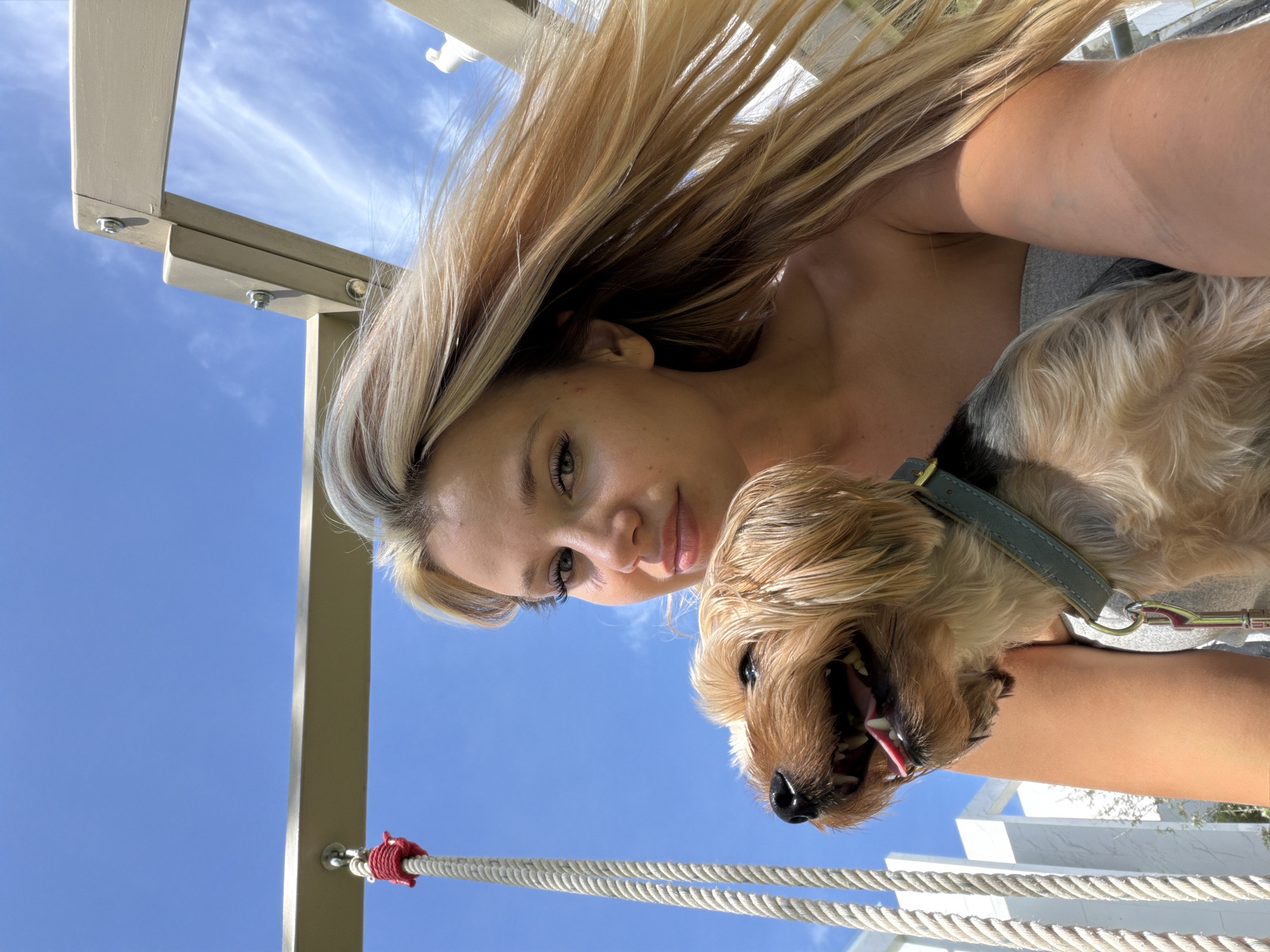 Sunny morning in Thailand with a Yorkshire Terrier