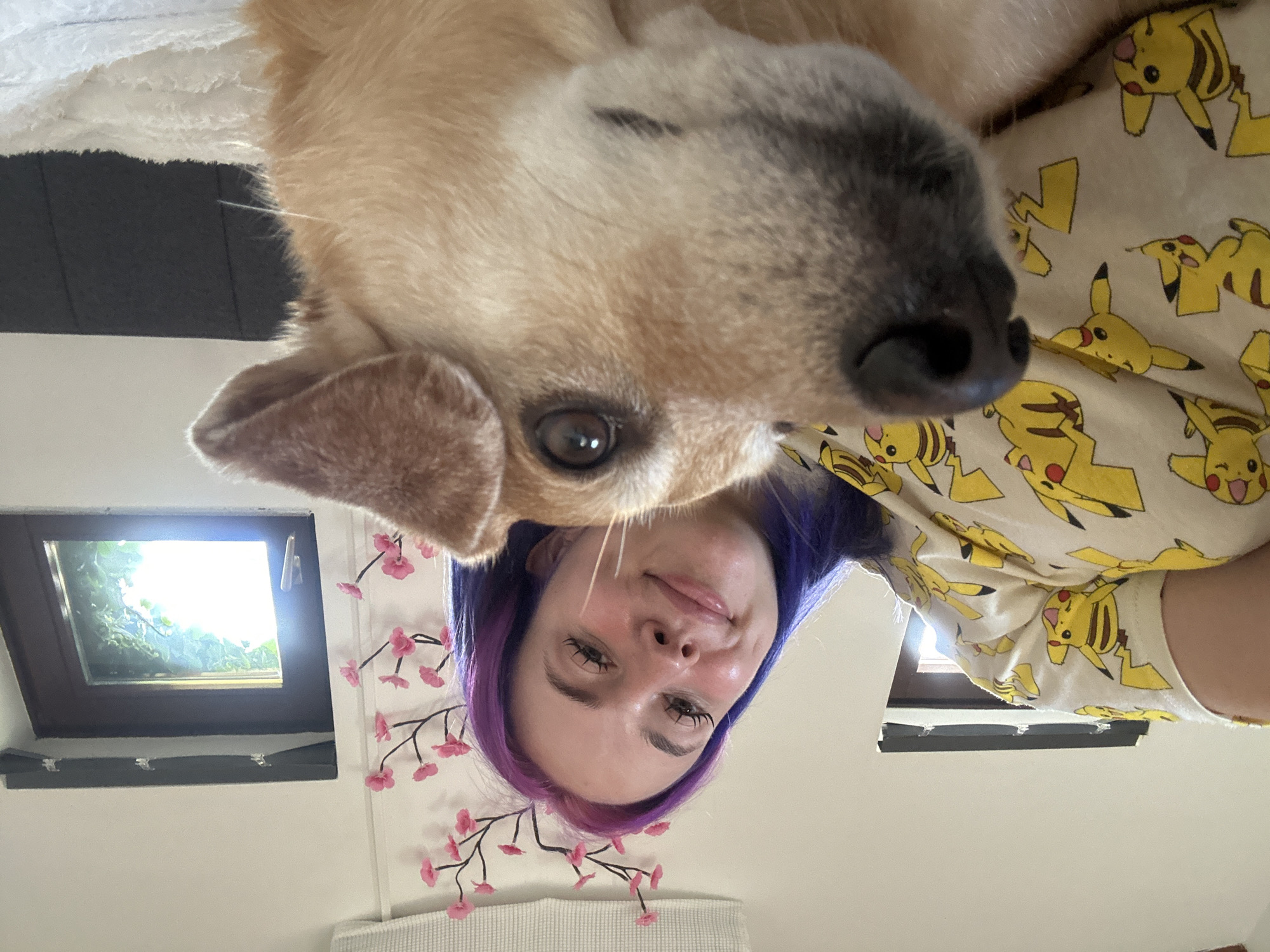 Woman with purple hair, dog photographed on blanket in Zagreb