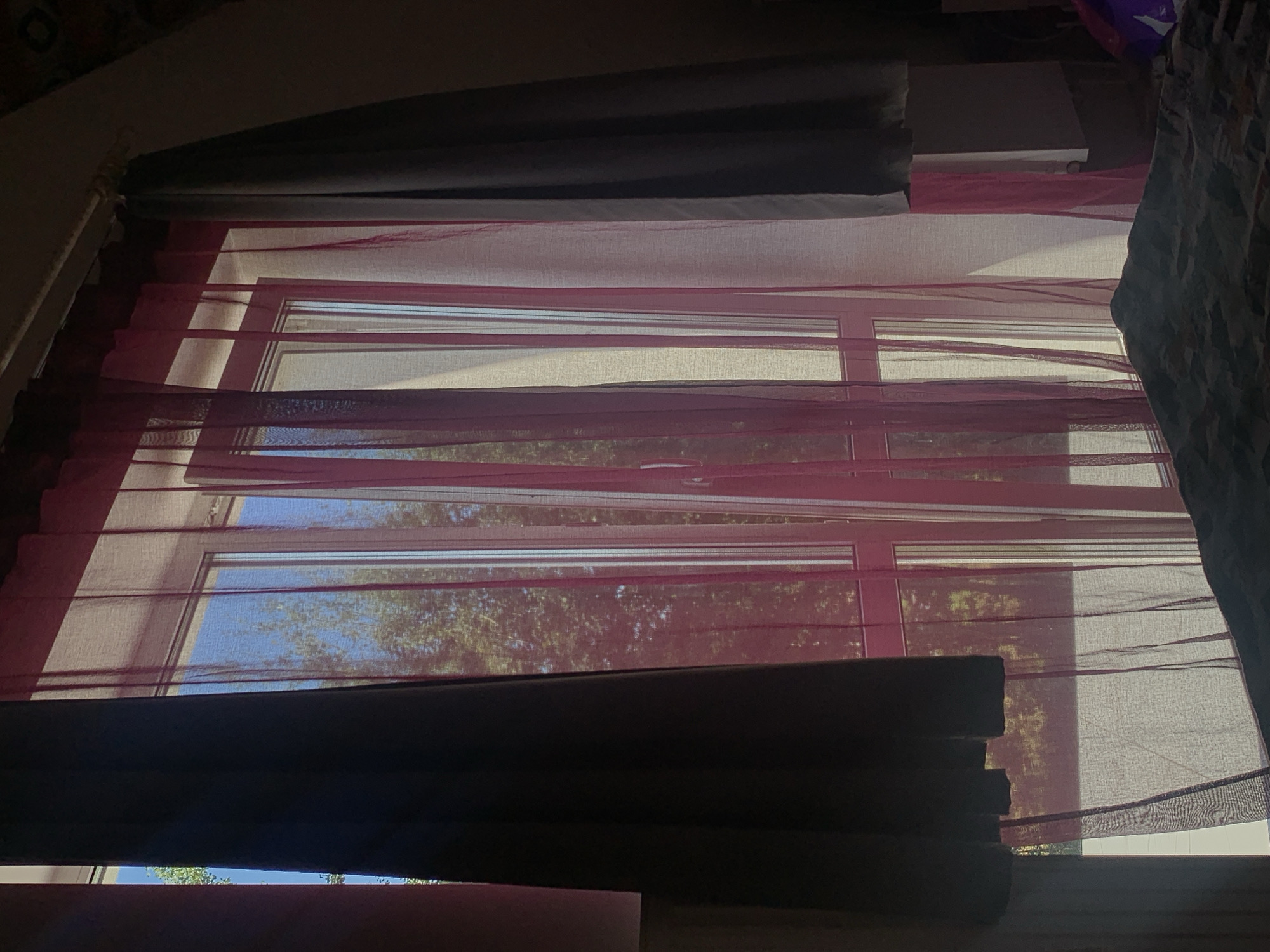 Morning light, bedroom curtains, and garden roses in Minsk