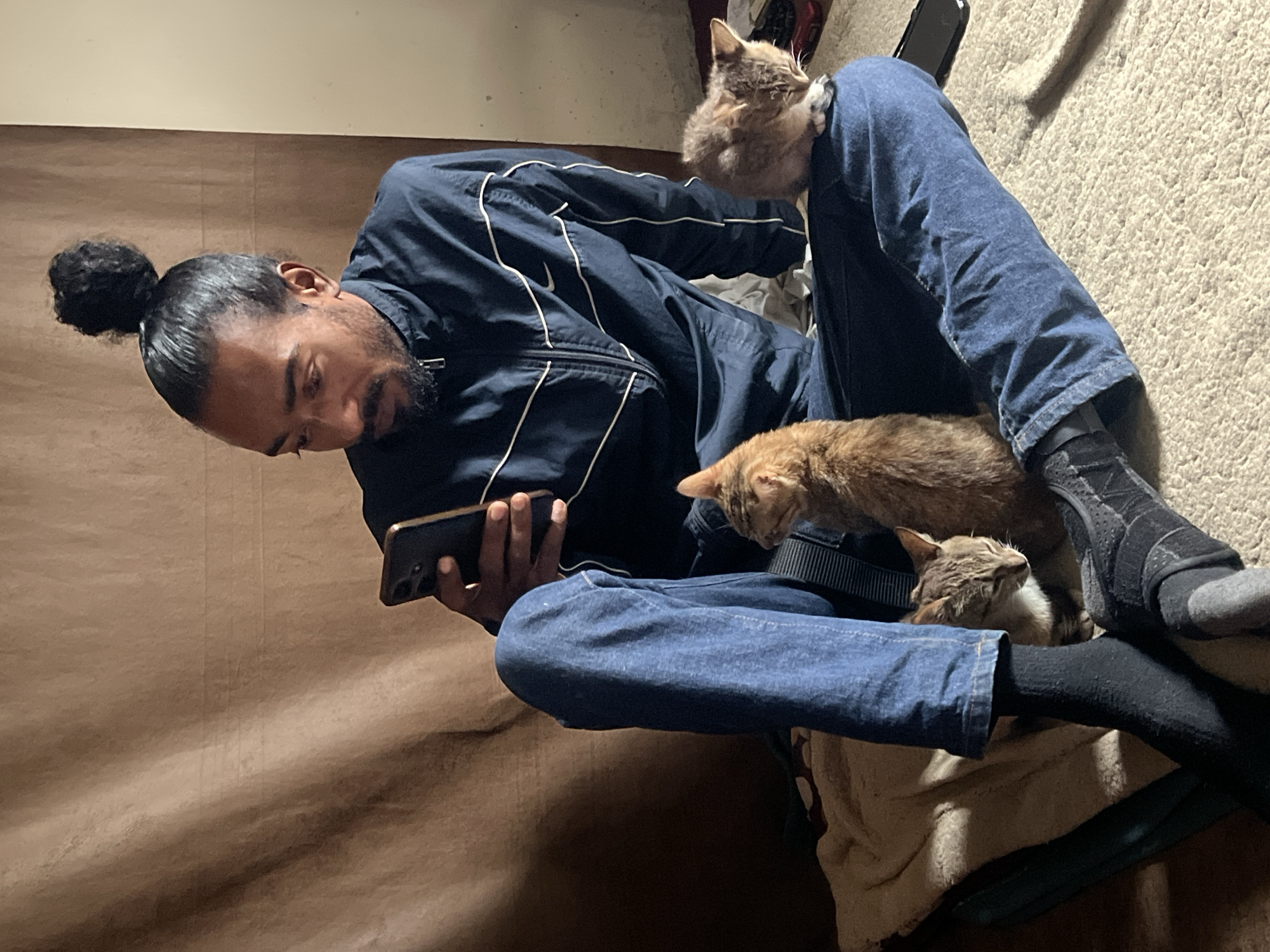 Cats, a tiger tapestry, and street unloading in Jos