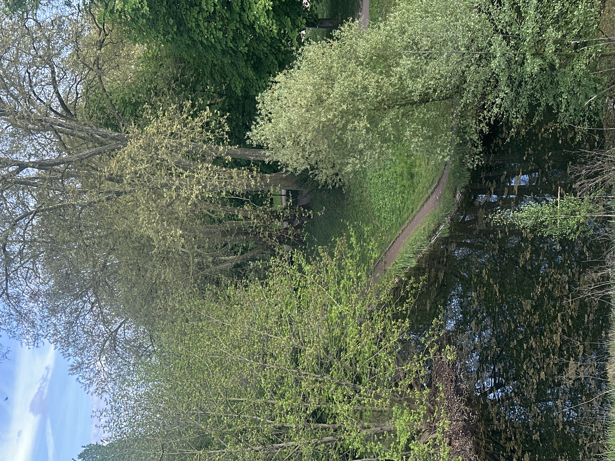 Tranquil park scene documented in Strasbourg on spring afternoon
