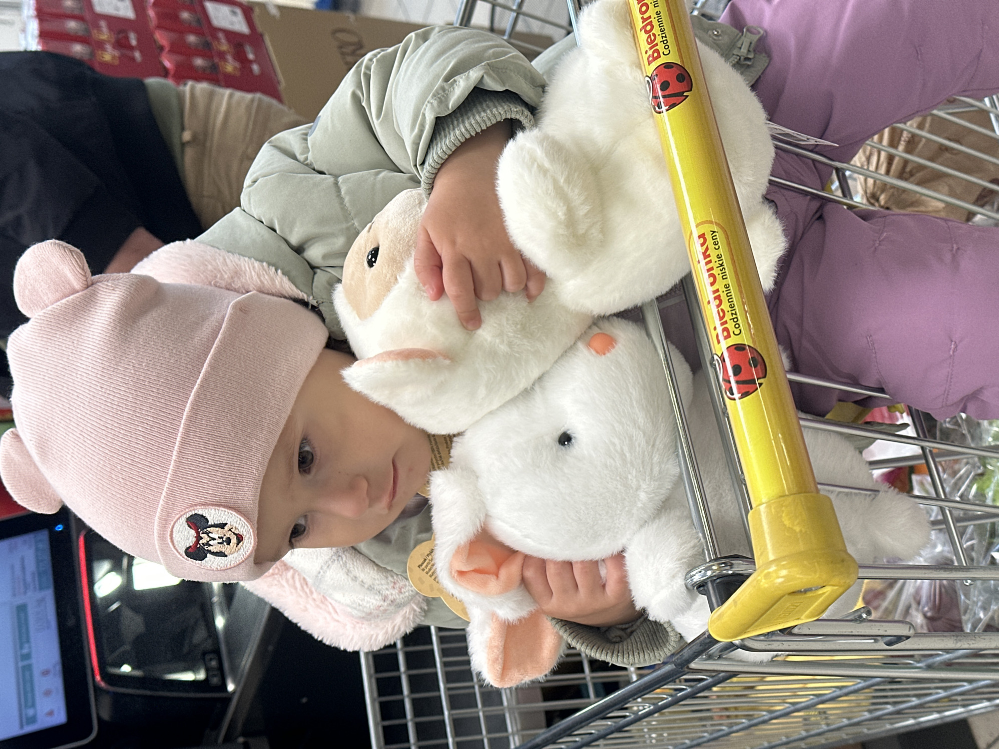Child with toys shops at Biedronka store in Wisła