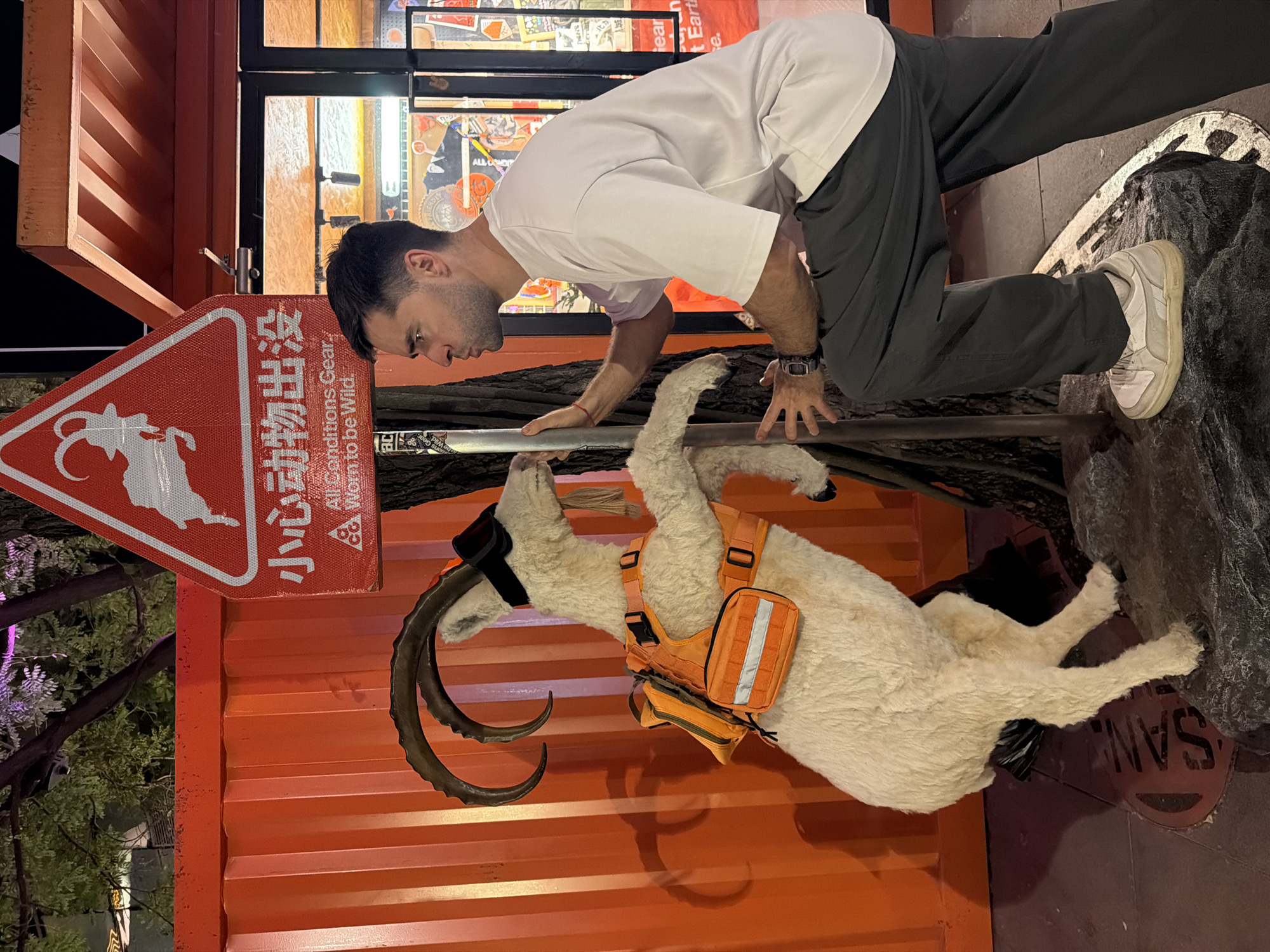 Man observes mountain goat statue in Beijing's Chaoyang District