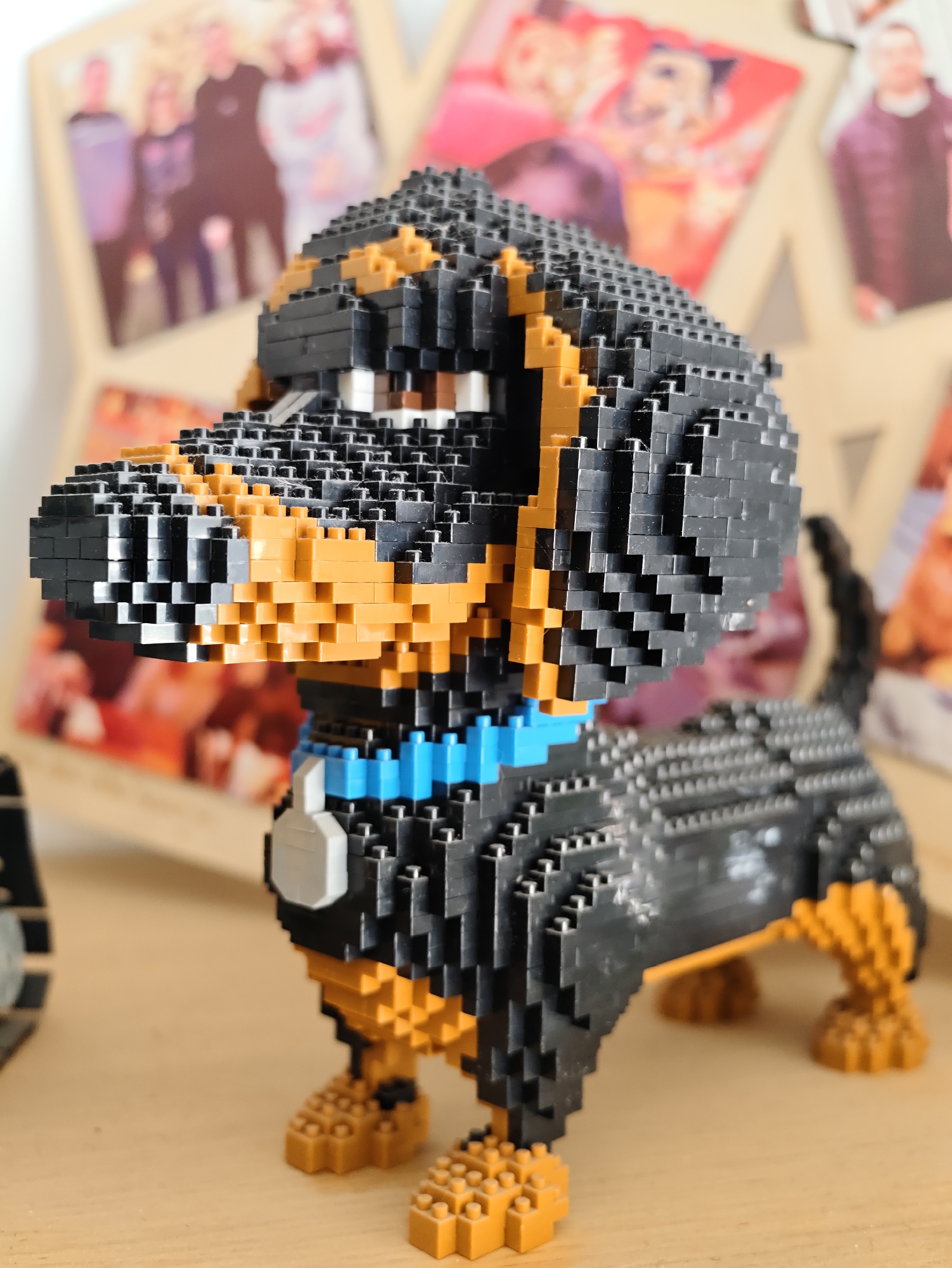 LEGO builds and a resting dog in Petah Tikva