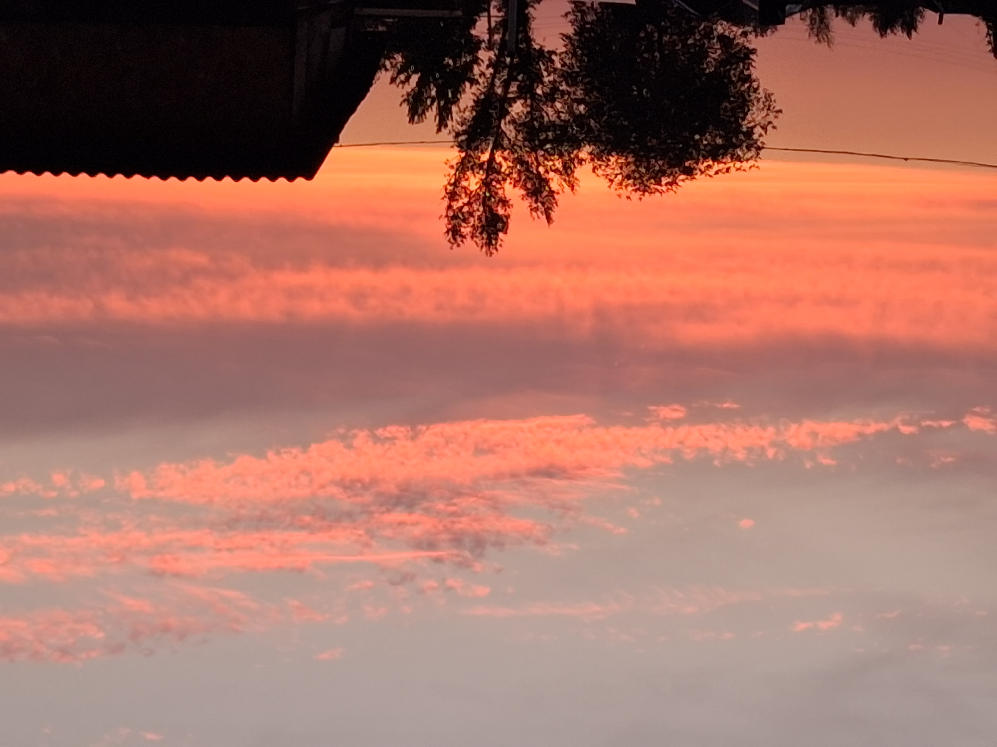 Semey sunset from a residential backyard, July 2026